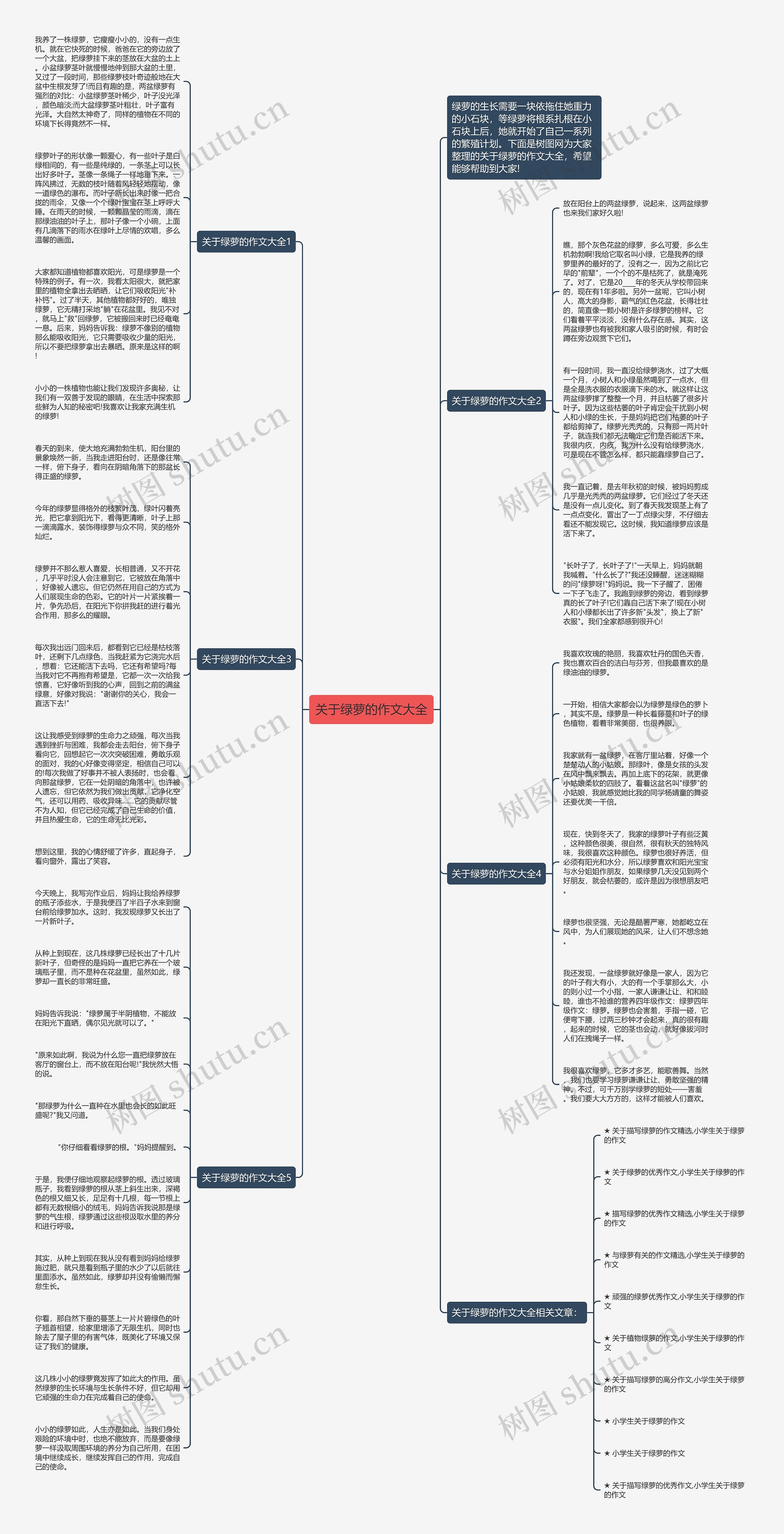 关于绿萝的作文大全思维导图