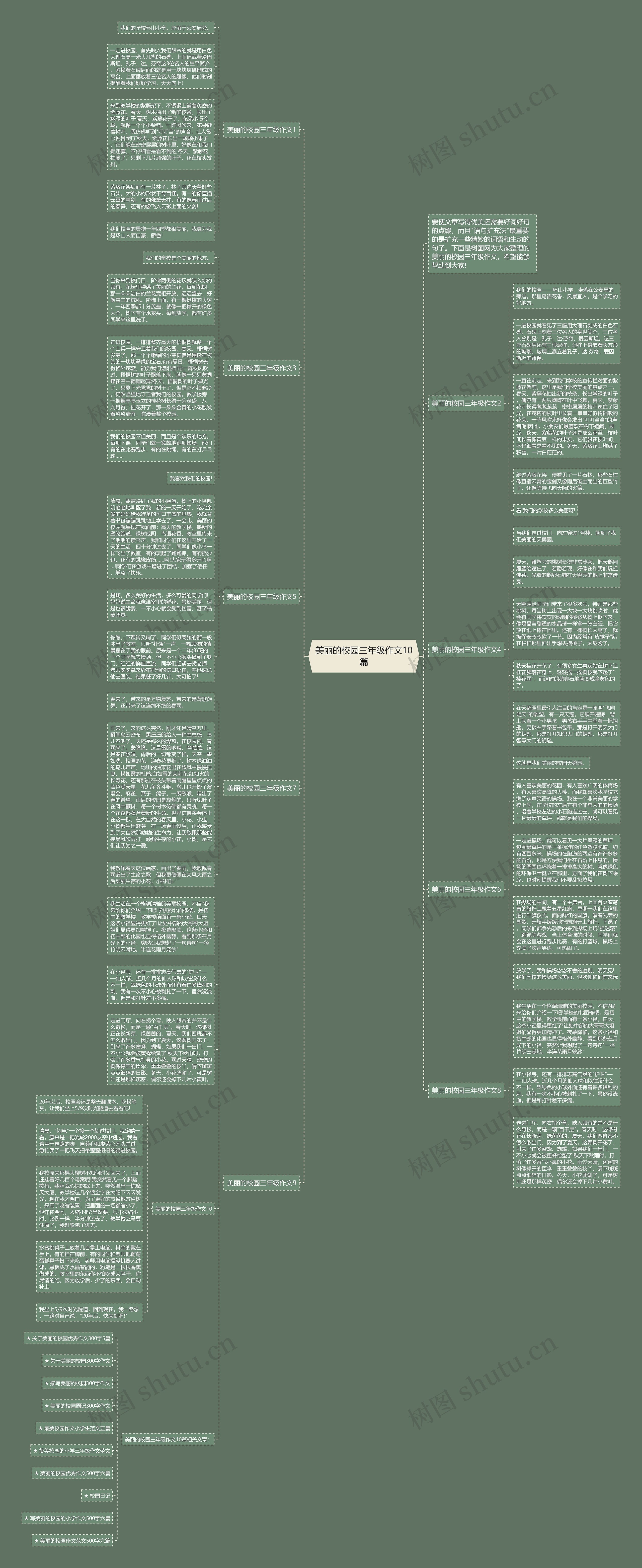 美丽的校园三年级作文10篇思维导图