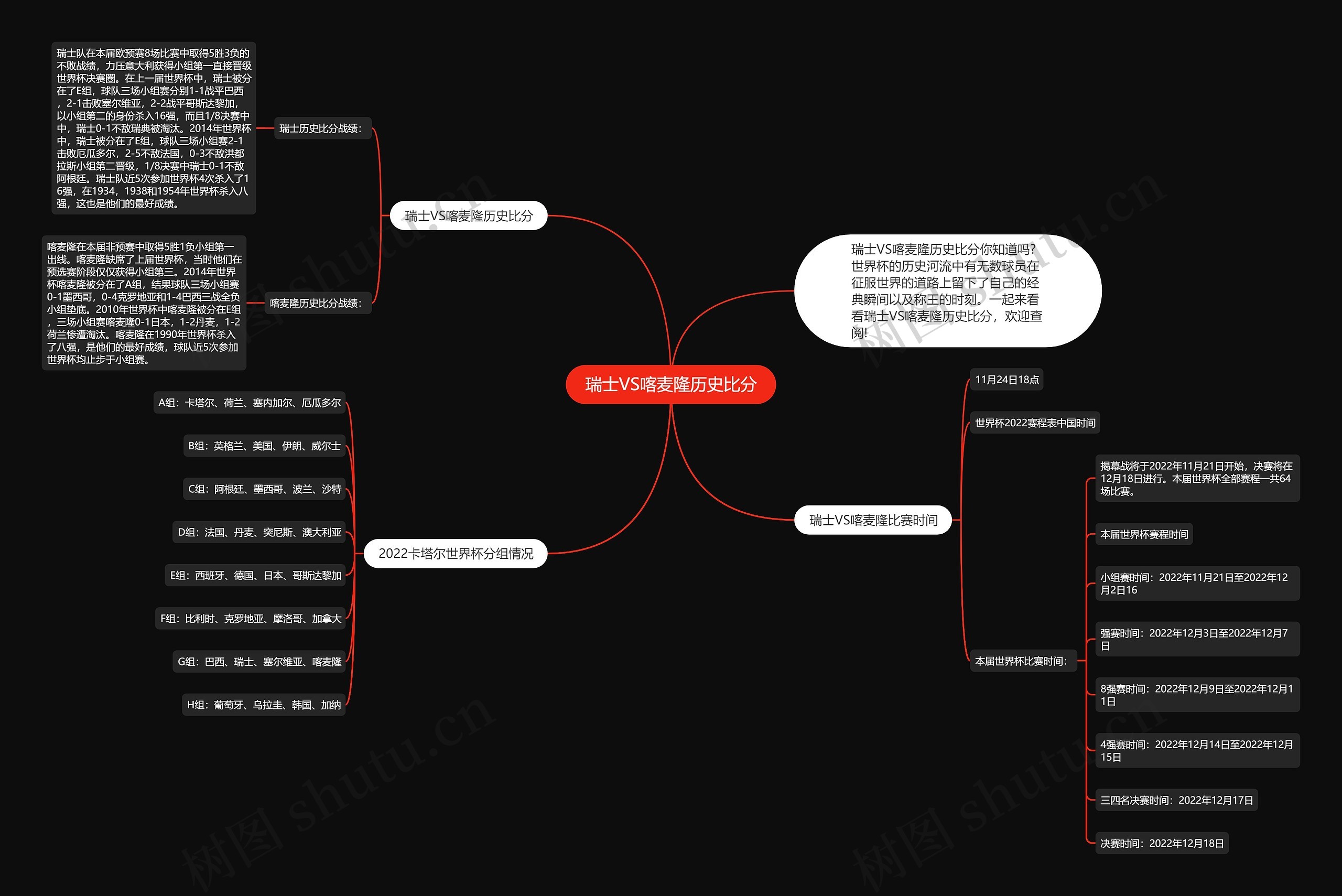 瑞士VS喀麦隆历史比分思维导图