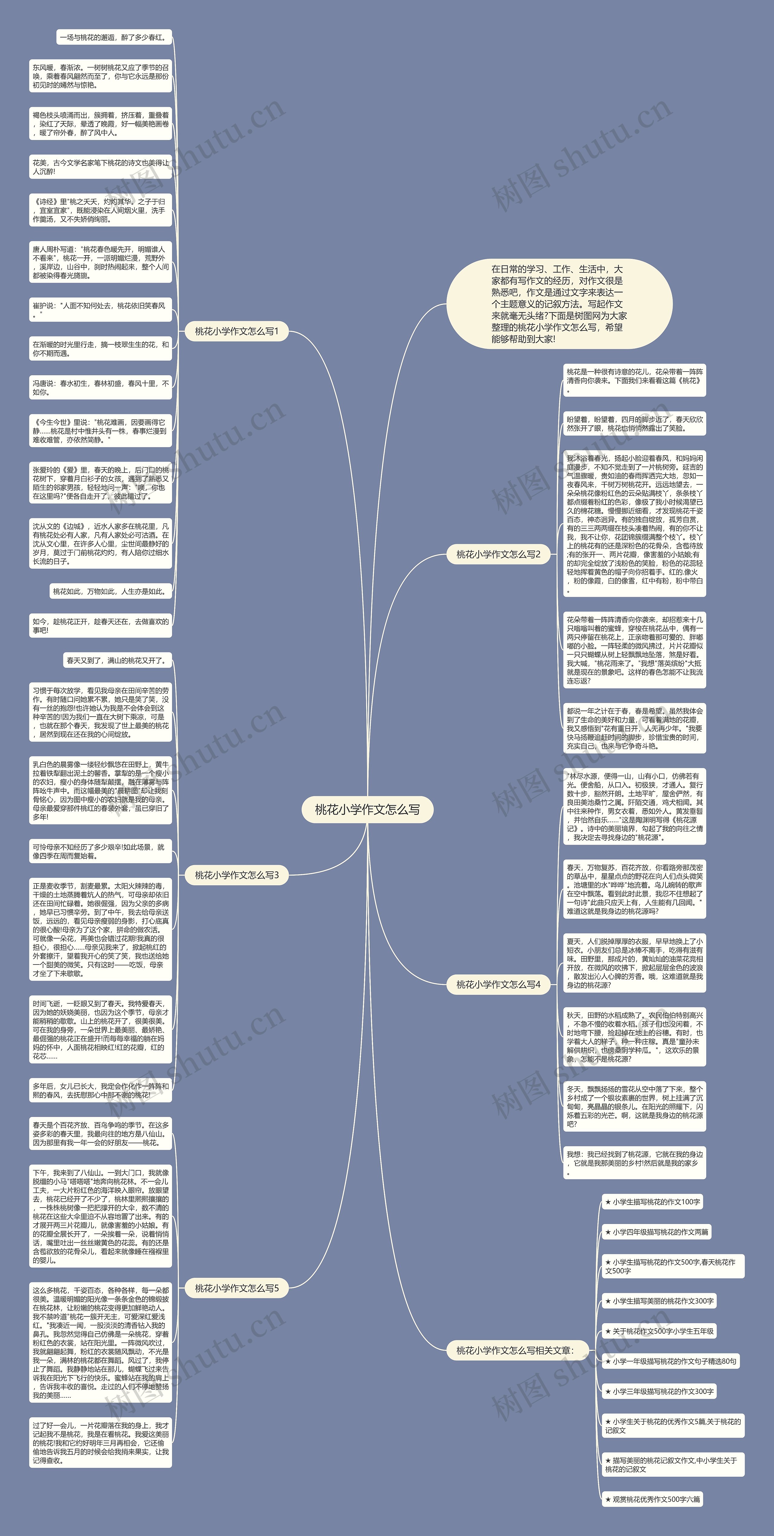 桃花小学作文怎么写思维导图