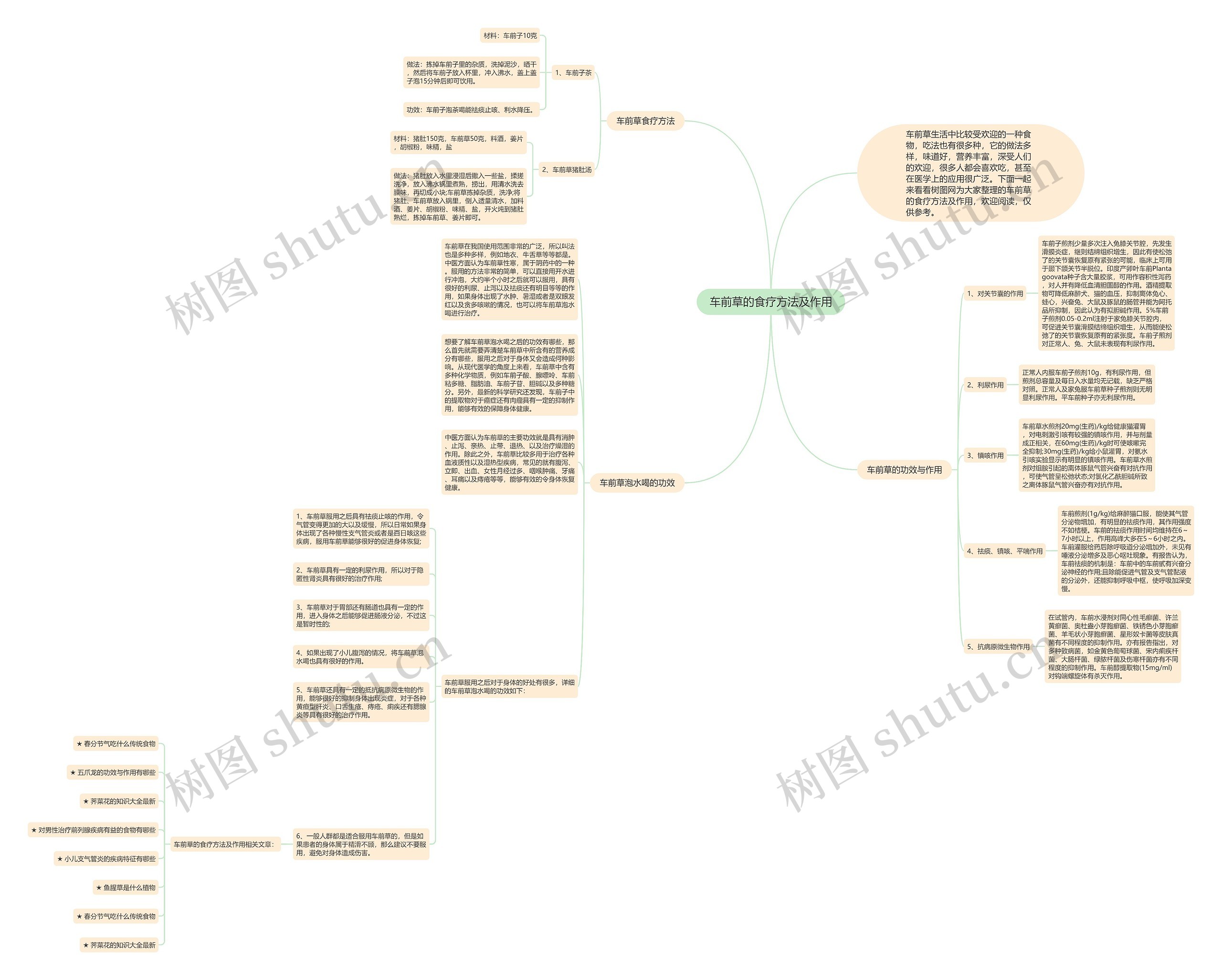 车前草的食疗方法及作用思维导图