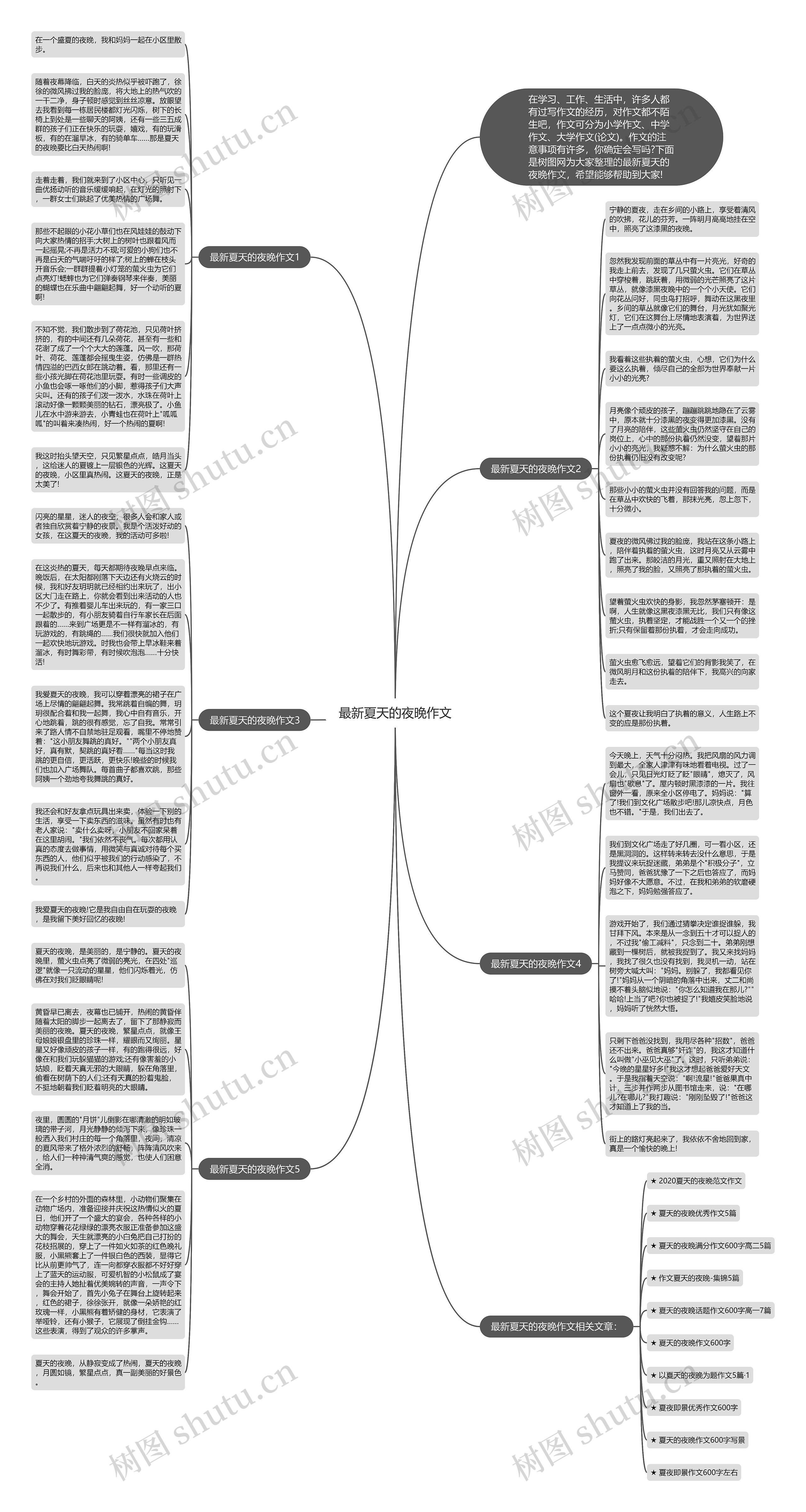 最新夏天的夜晚作文思维导图