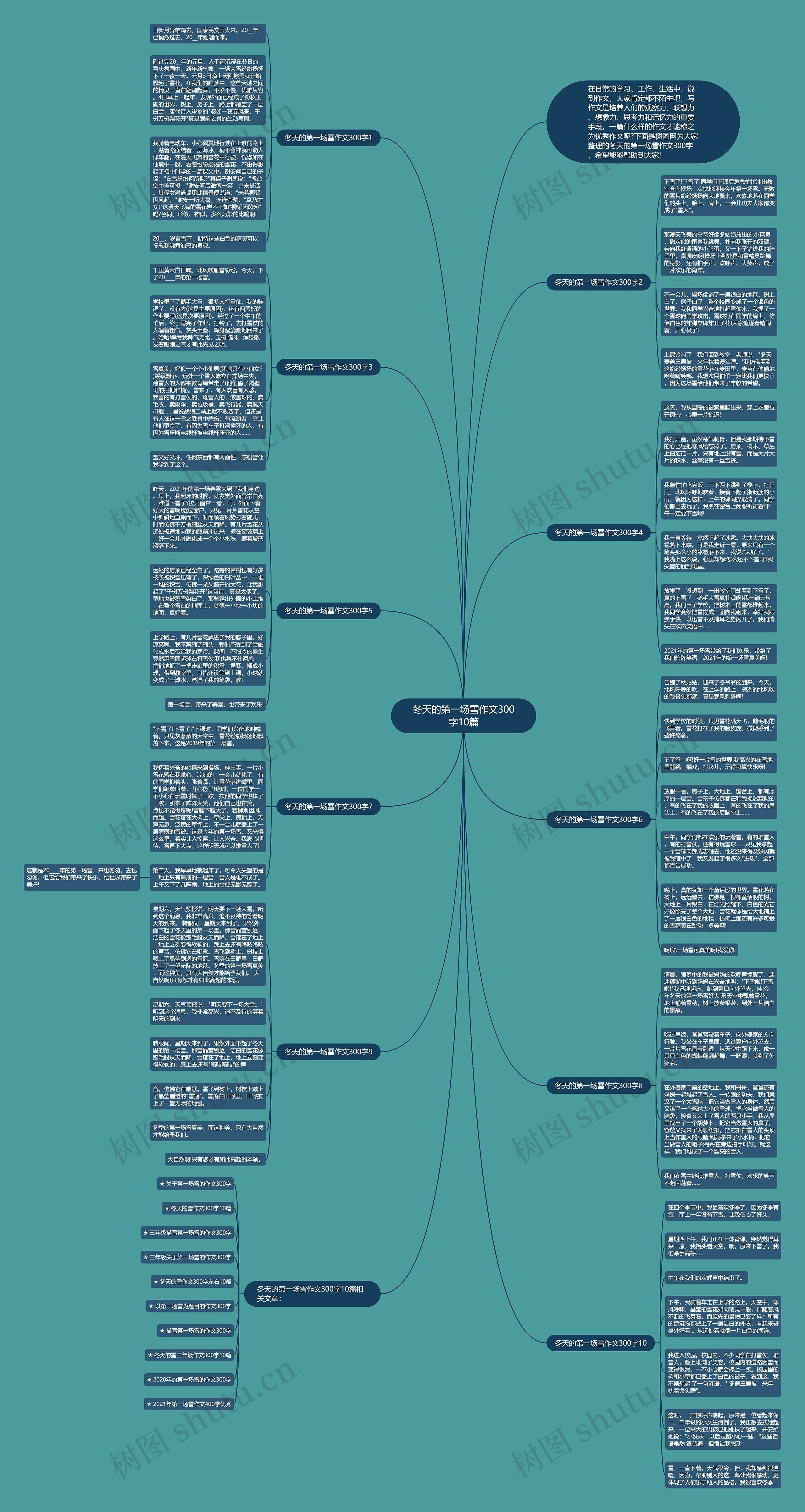 冬天的第一场雪作文300字10篇思维导图
