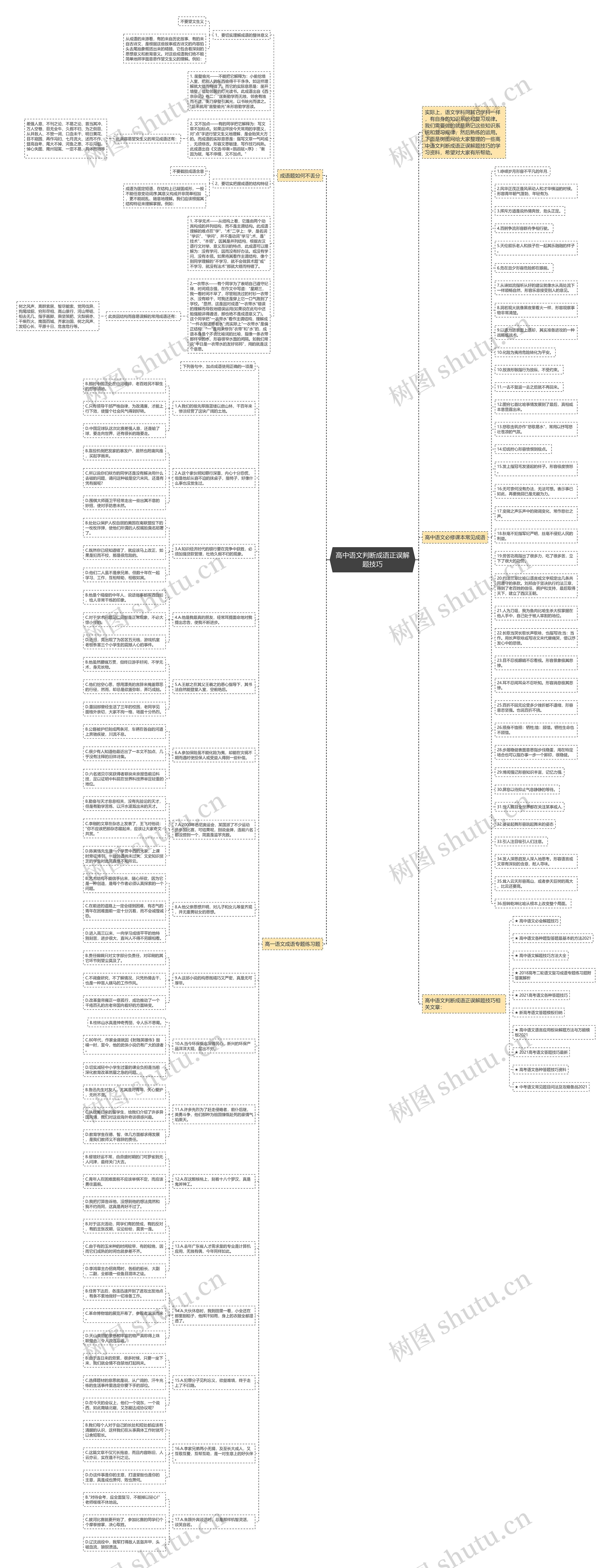 高中语文判断成语正误解题技巧思维导图