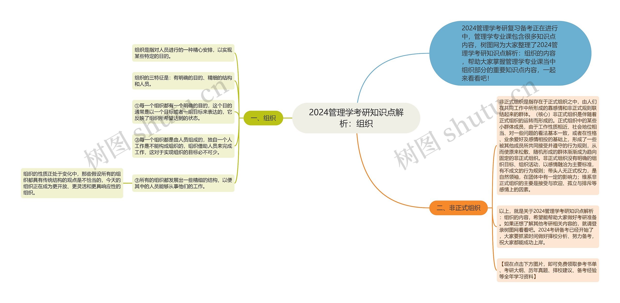 2024管理学考研知识点解析：组织