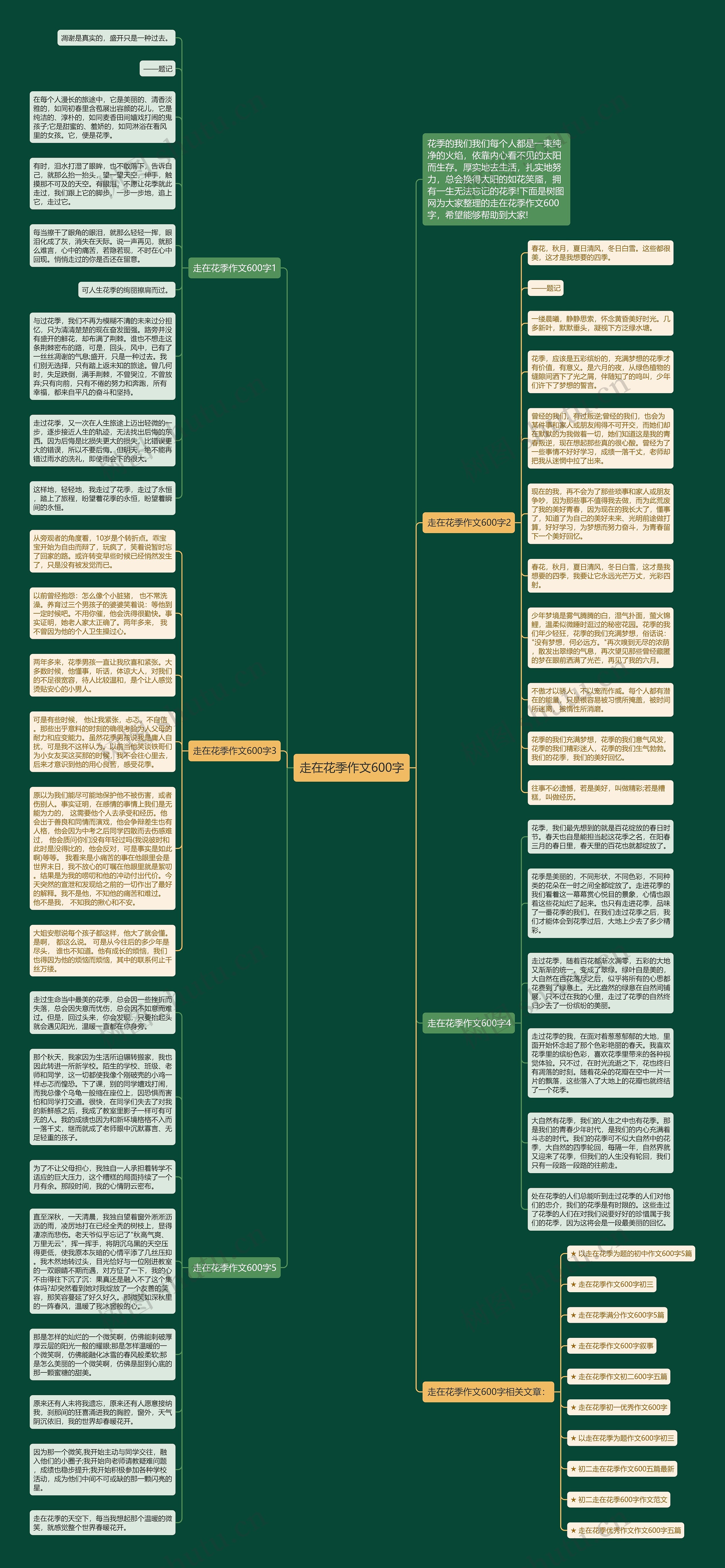 走在花季作文600字思维导图
