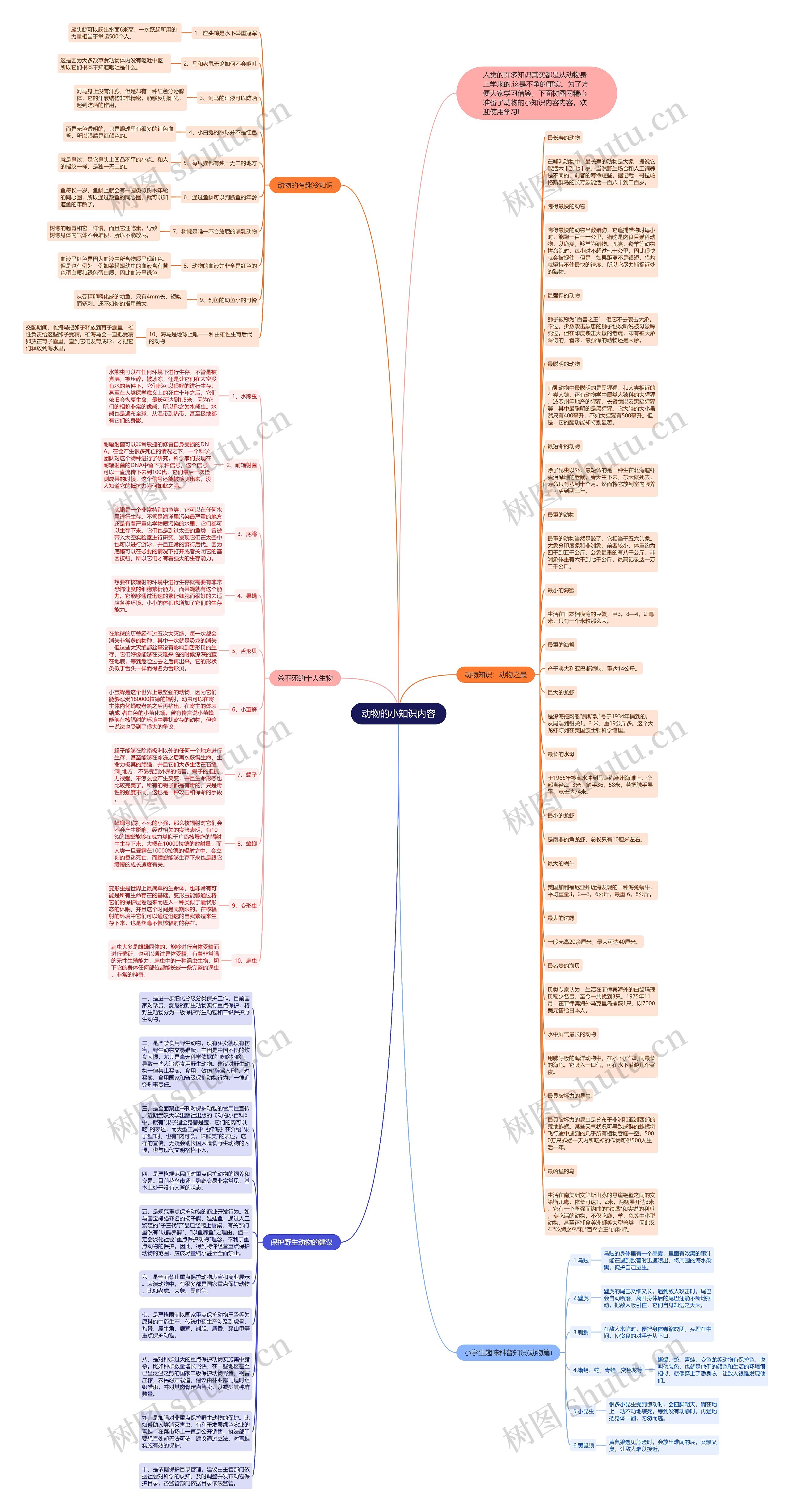 动物的小知识内容思维导图