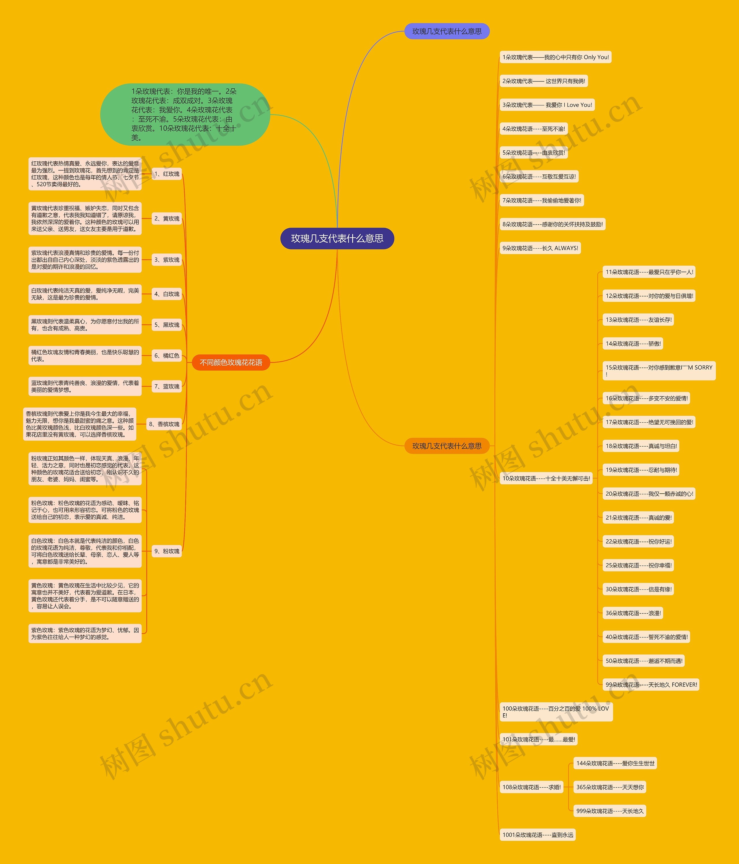 玫瑰几支代表什么意思思维导图
