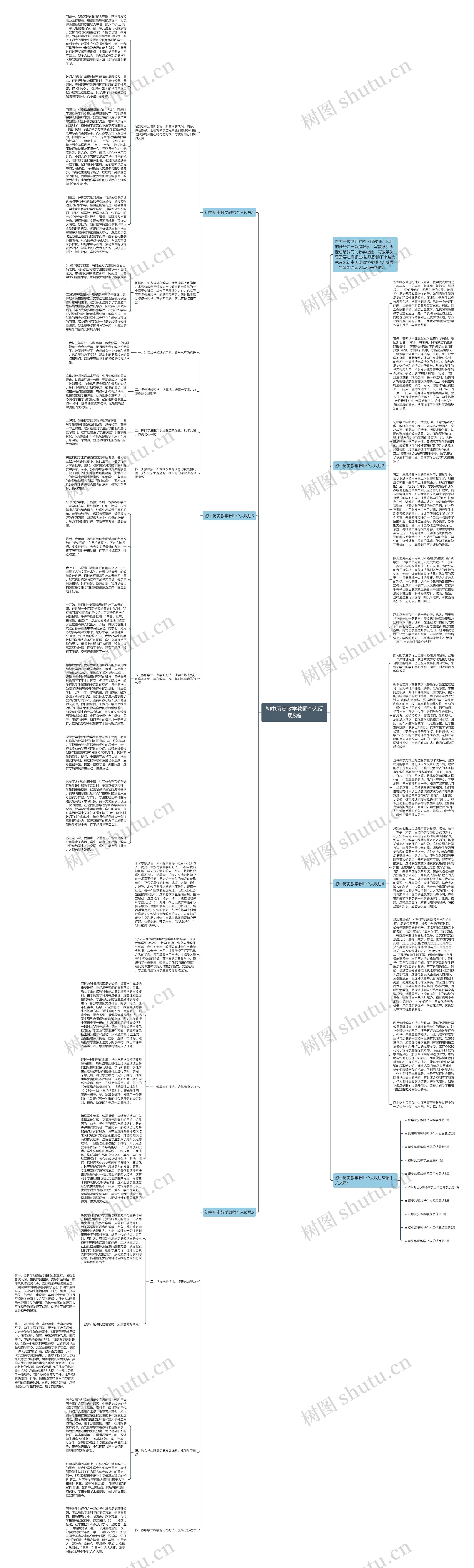 初中历史教学教师个人反思5篇思维导图