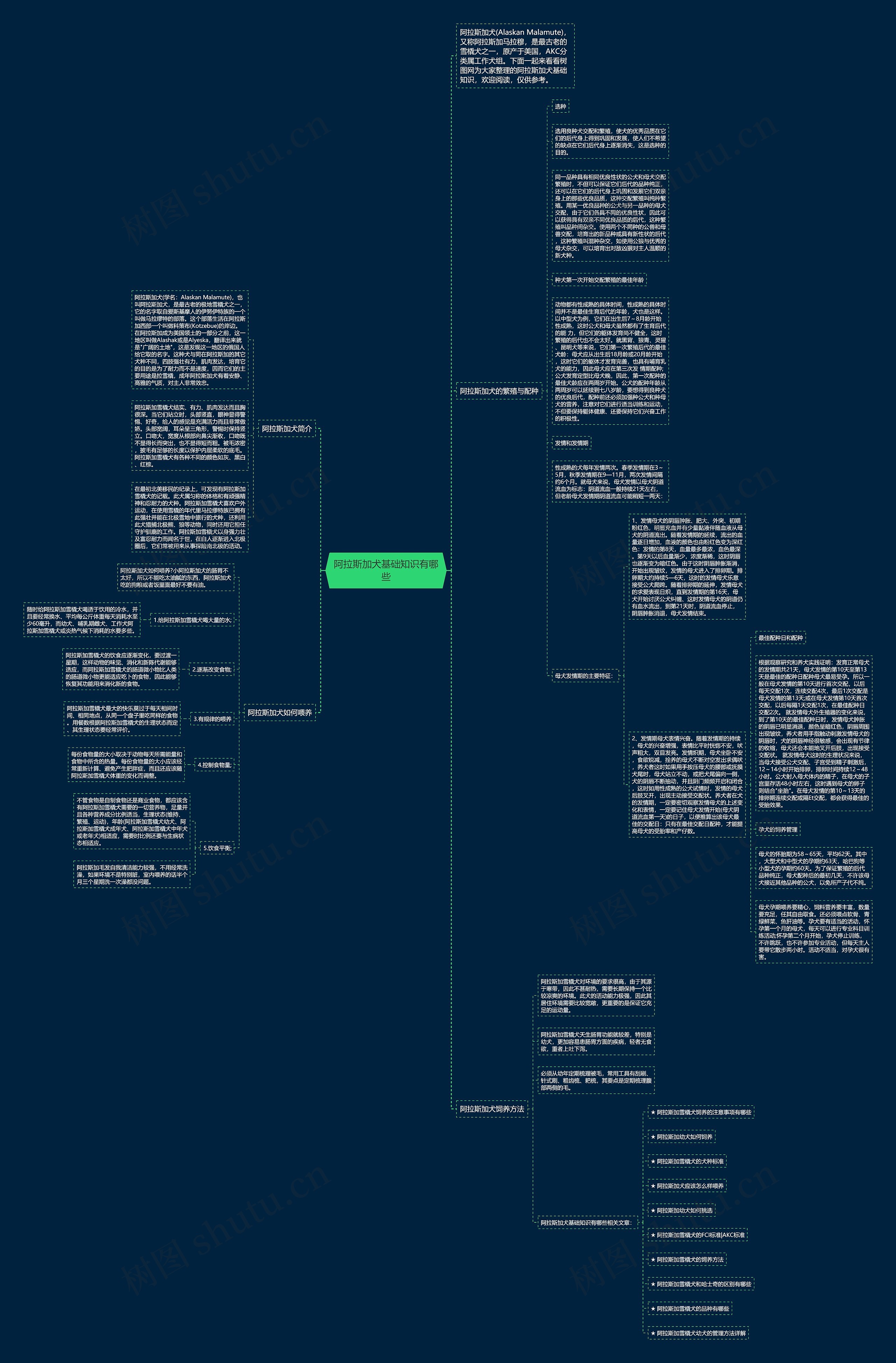阿拉斯加犬基础知识有哪些思维导图