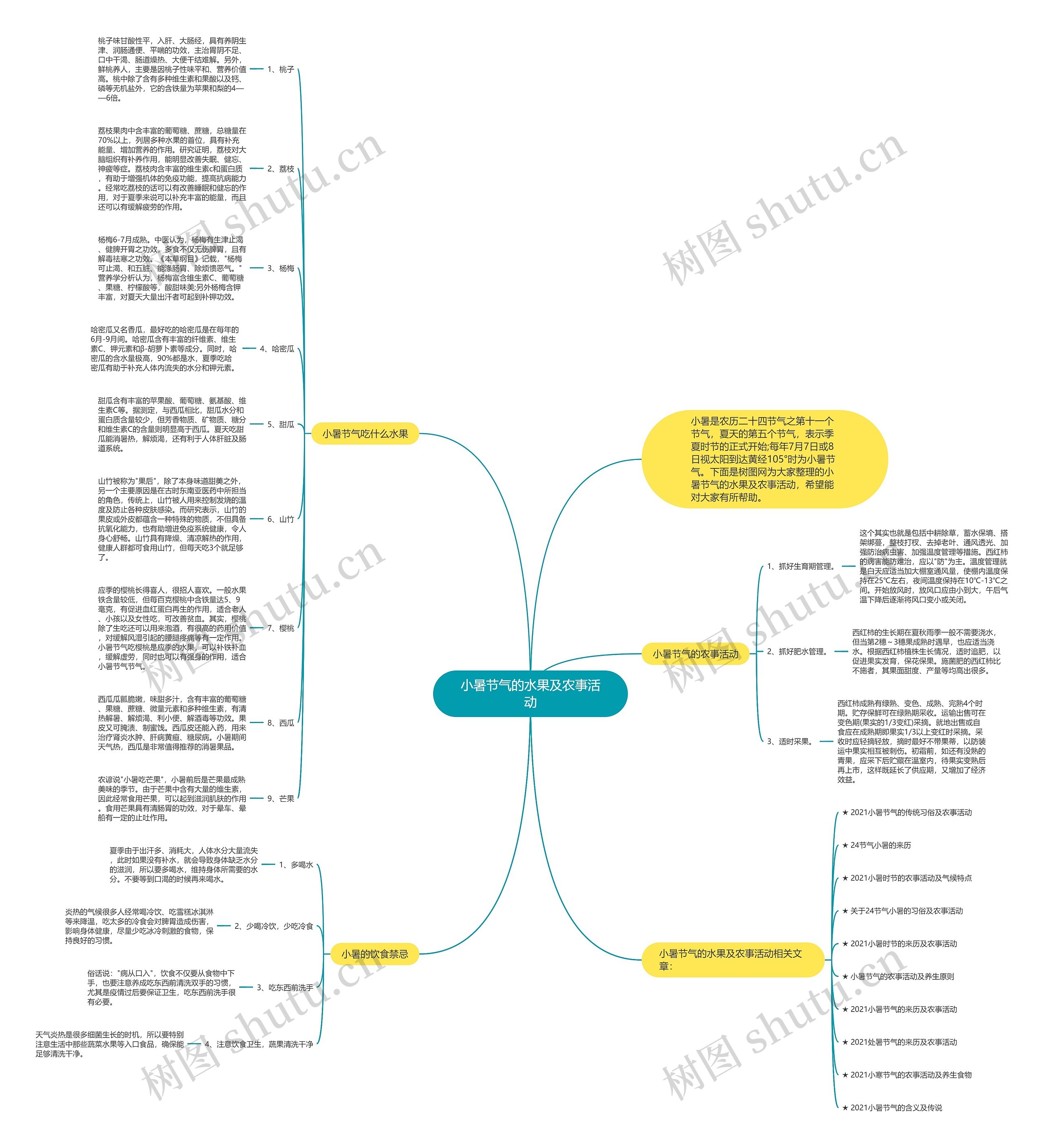 小暑节气的水果及农事活动思维导图