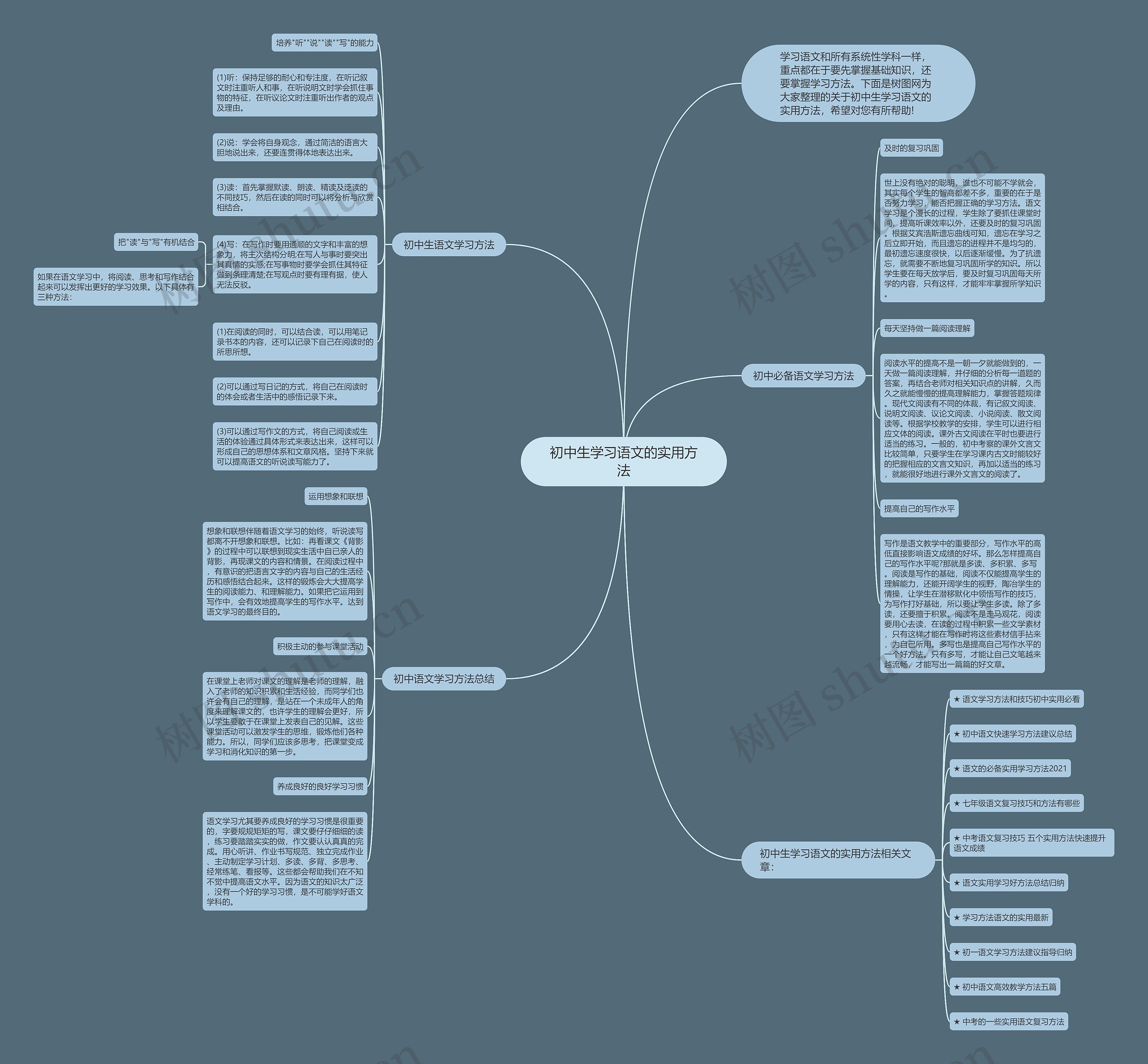 初中生学习语文的实用方法思维导图