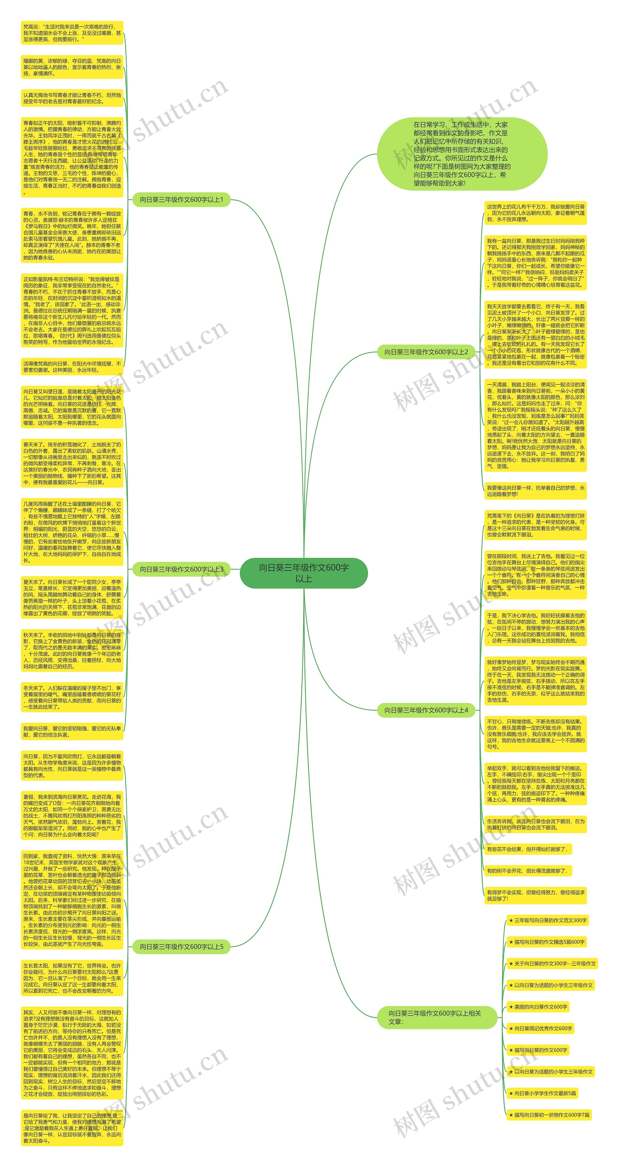 向日葵三年级作文600字以上思维导图
