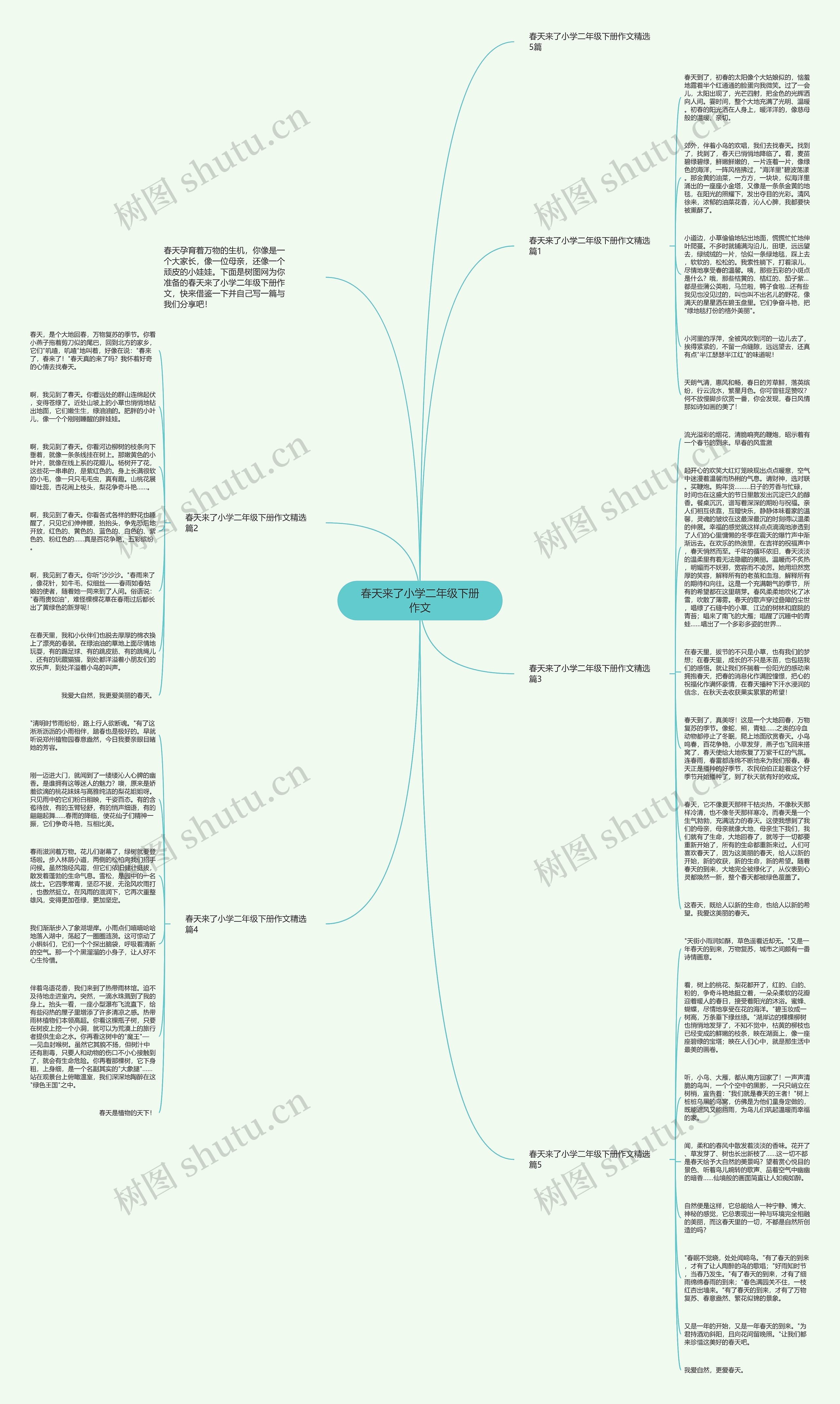 春天来了小学二年级下册作文思维导图