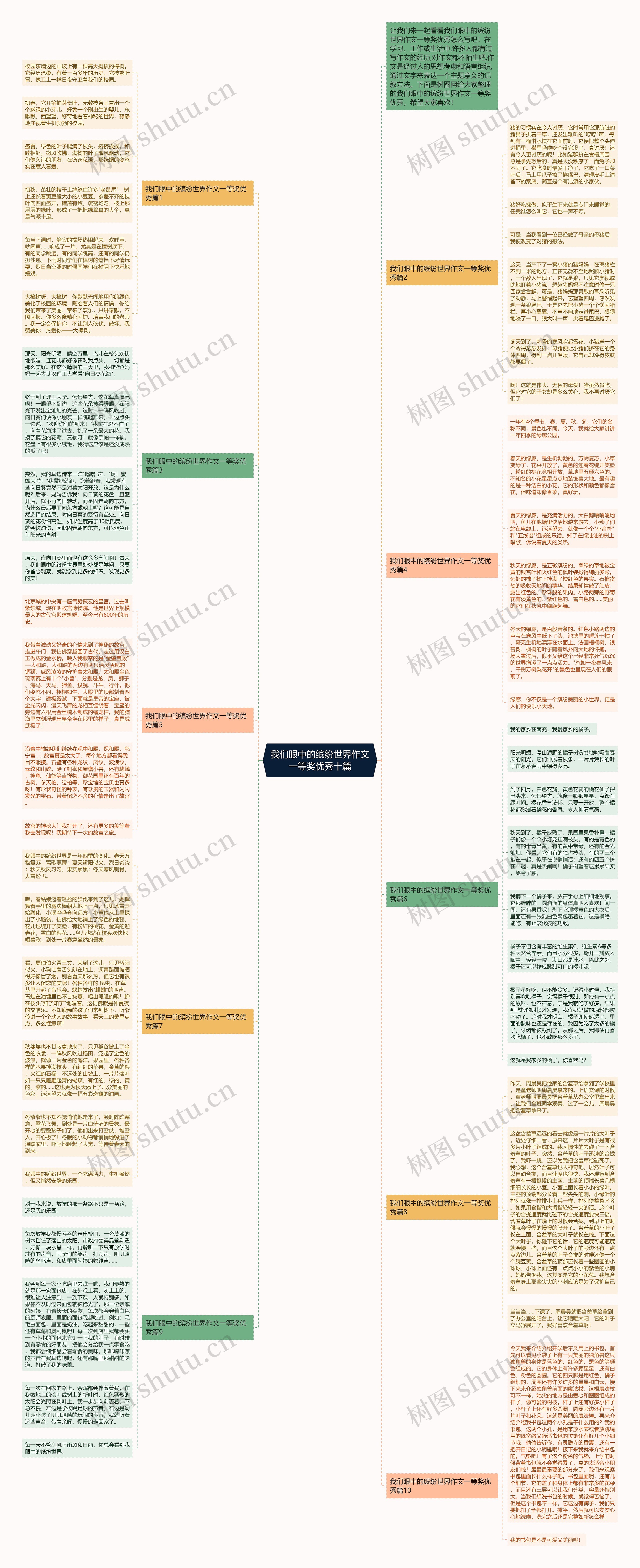 我们眼中的缤纷世界作文一等奖优秀十篇思维导图
