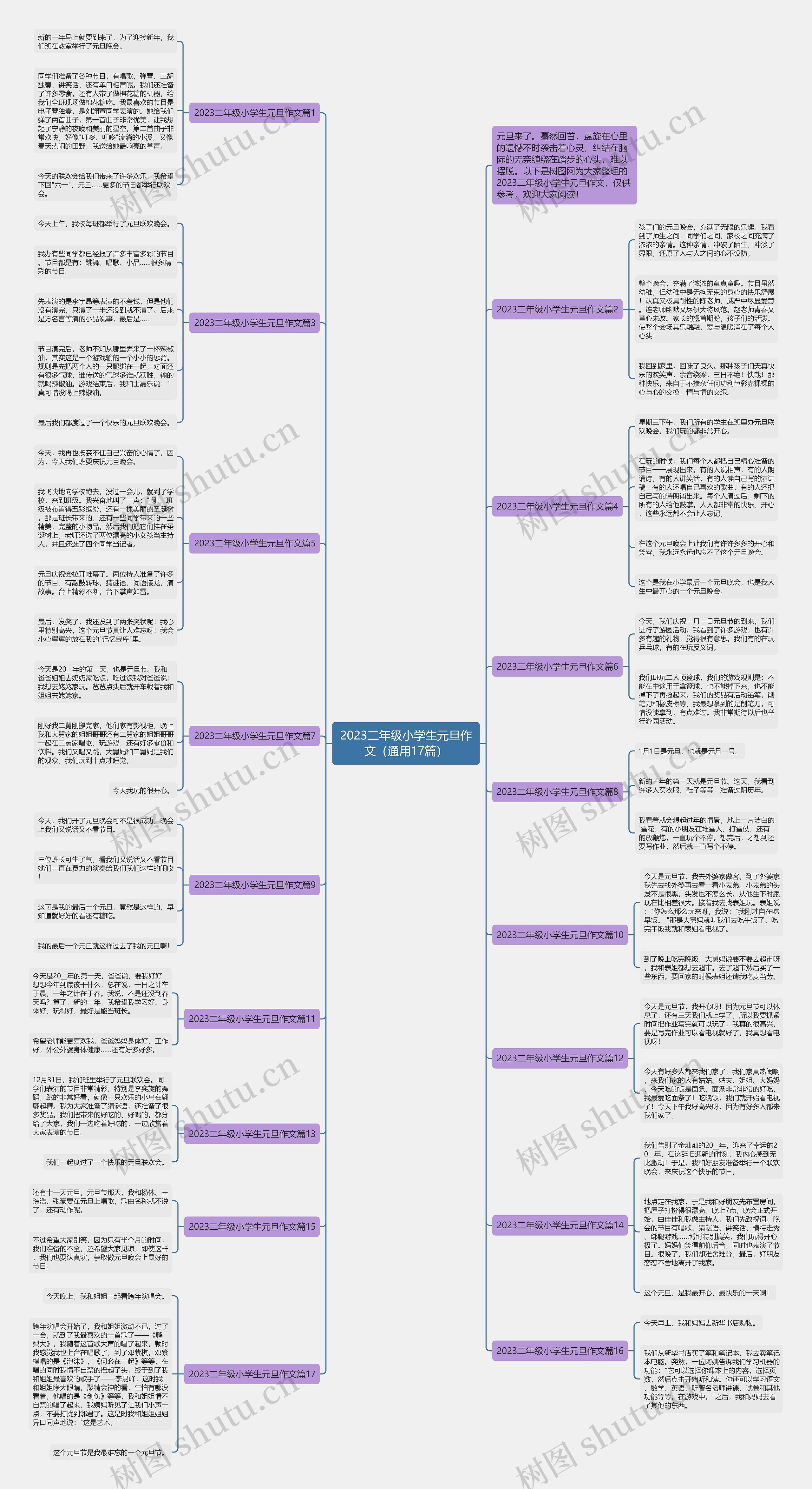 2023二年级小学生元旦作文（通用17篇）思维导图