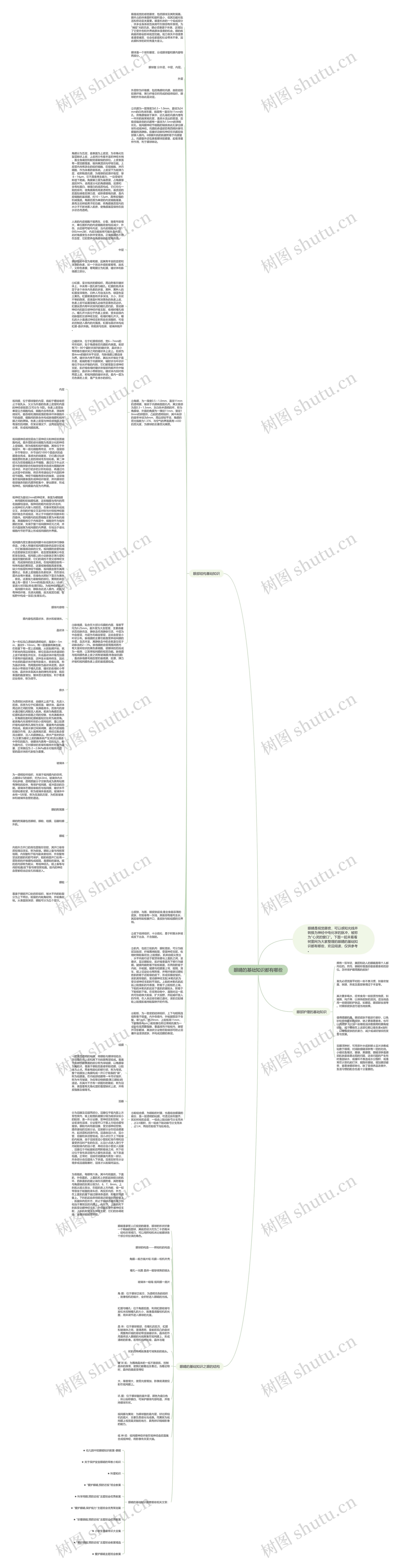 眼睛的基础知识都有哪些思维导图