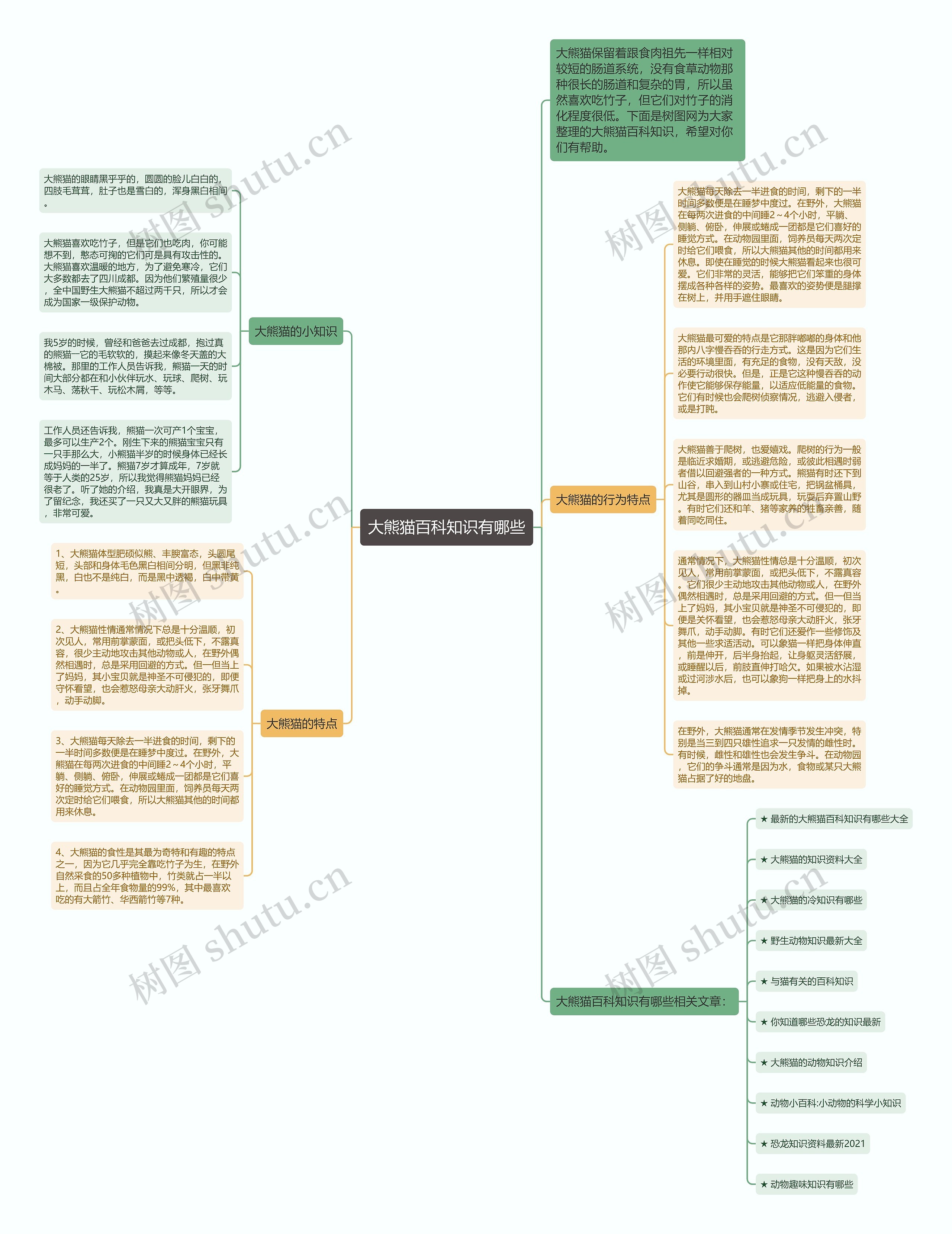 大熊猫百科知识有哪些思维导图
