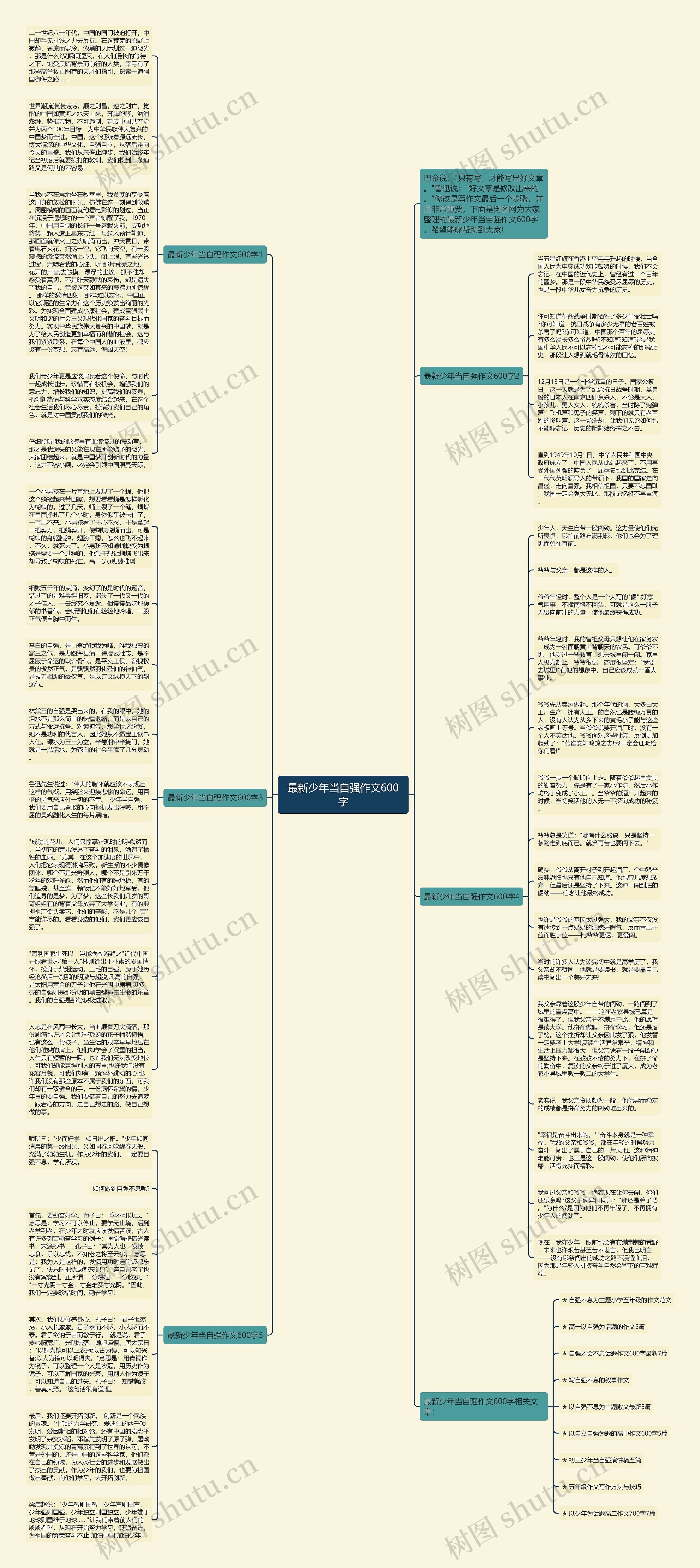 最新少年当自强作文600字思维导图
