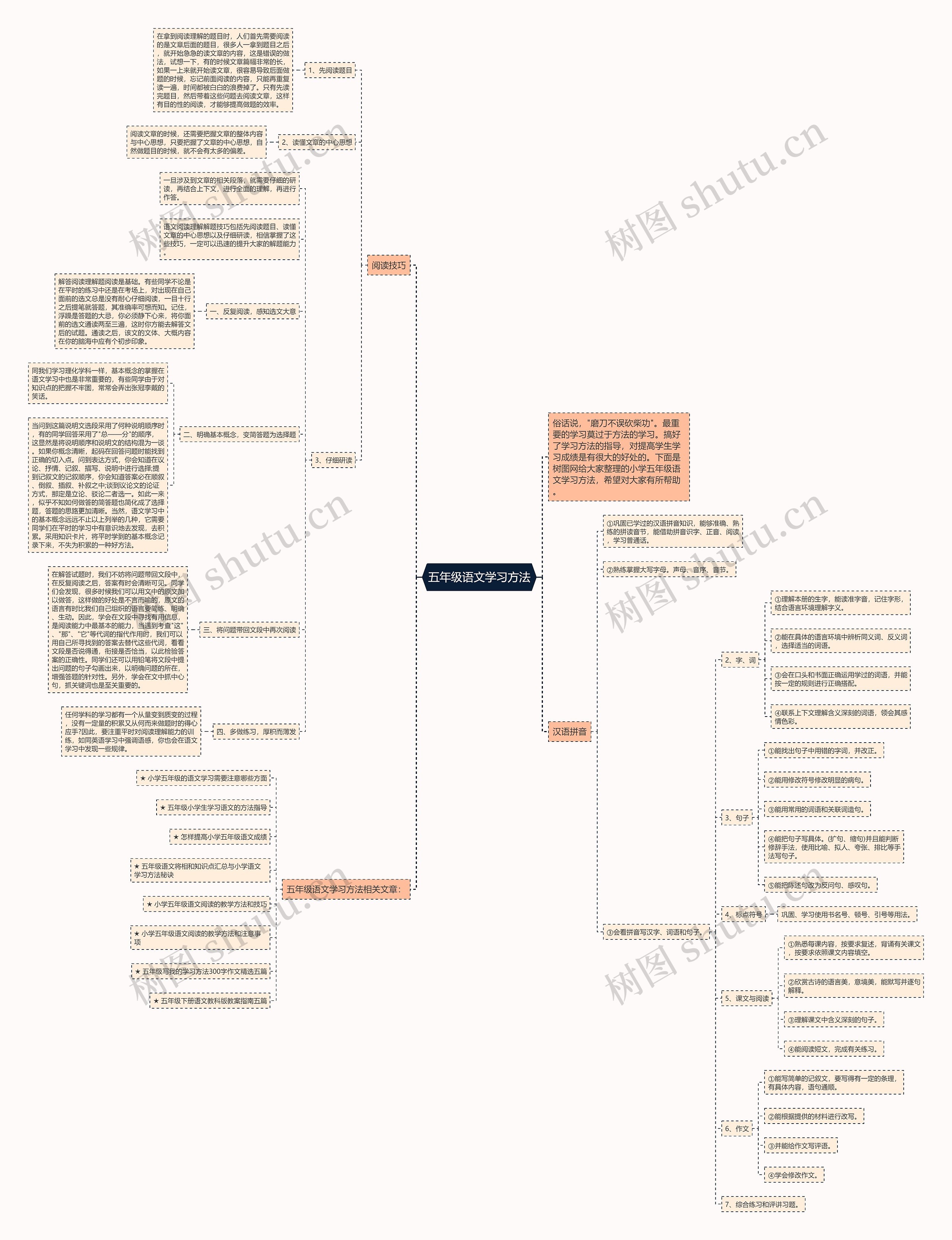 五年级语文学习方法