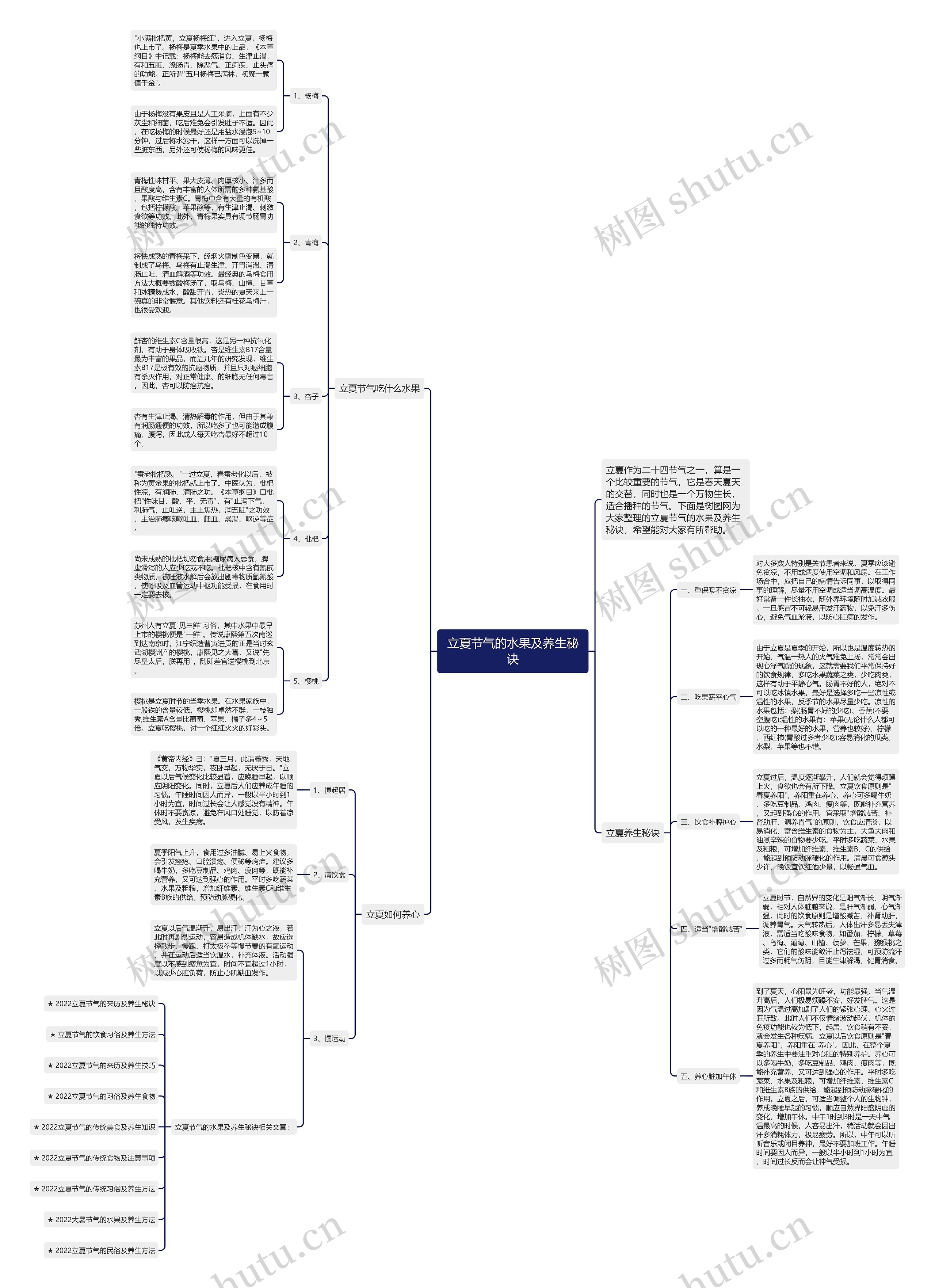 立夏节气的水果及养生秘诀思维导图