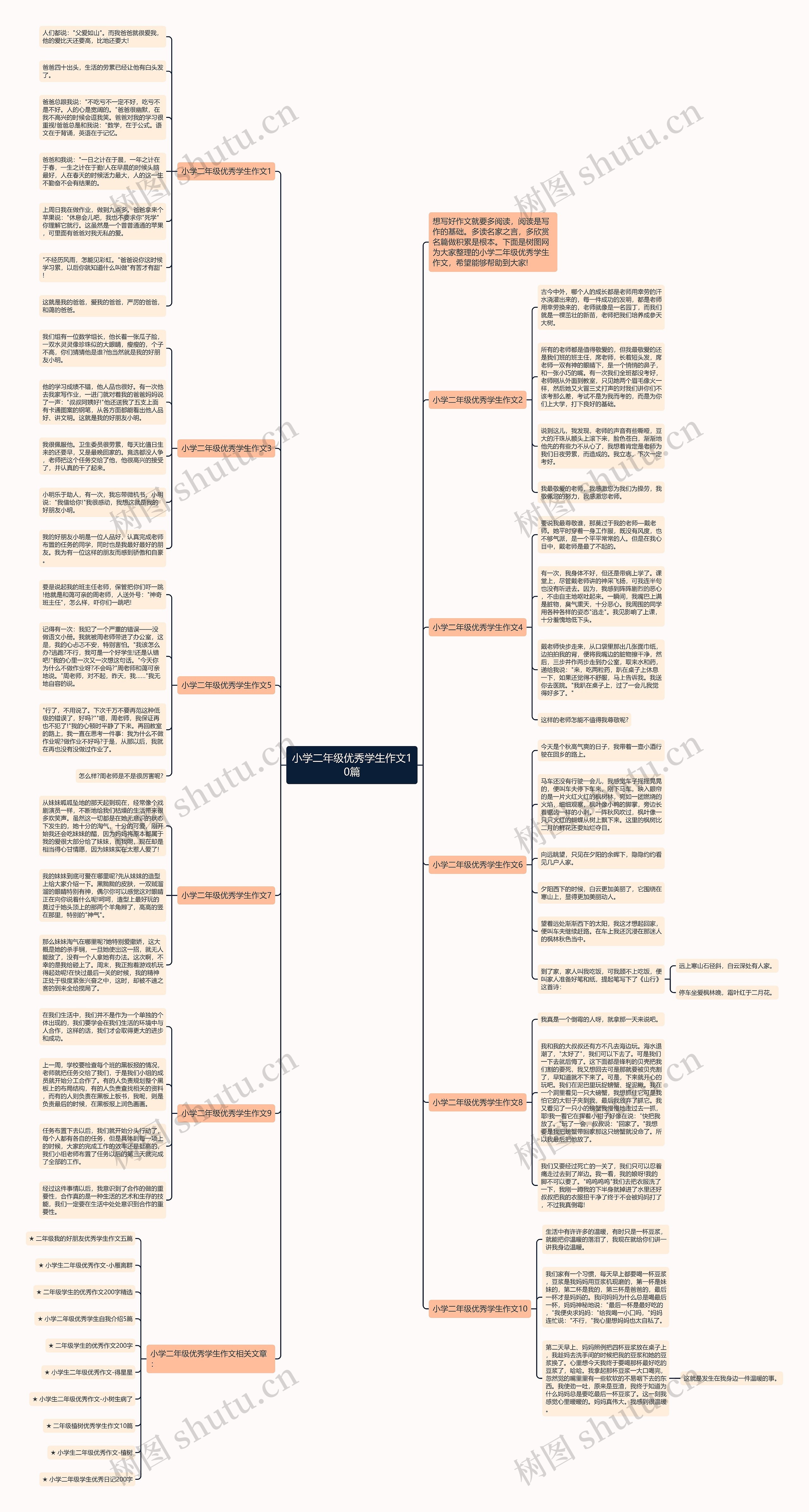 小学二年级优秀学生作文10篇思维导图