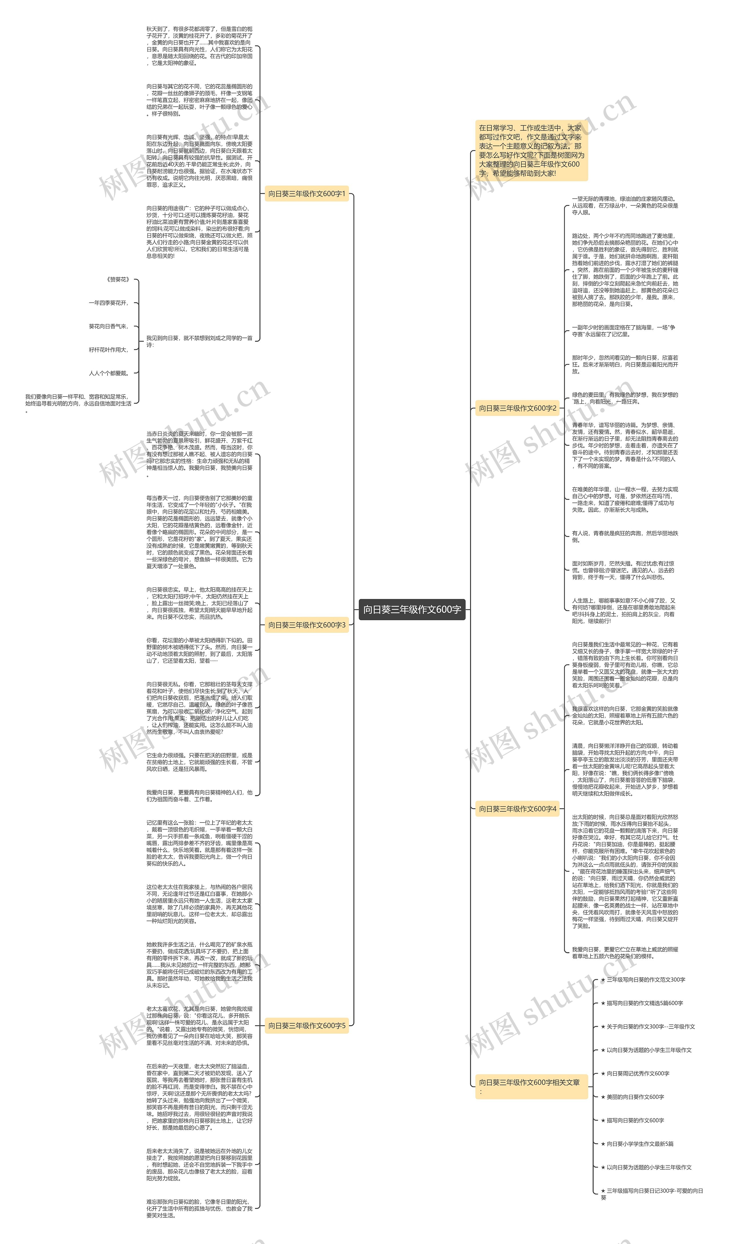 向日葵三年级作文600字思维导图