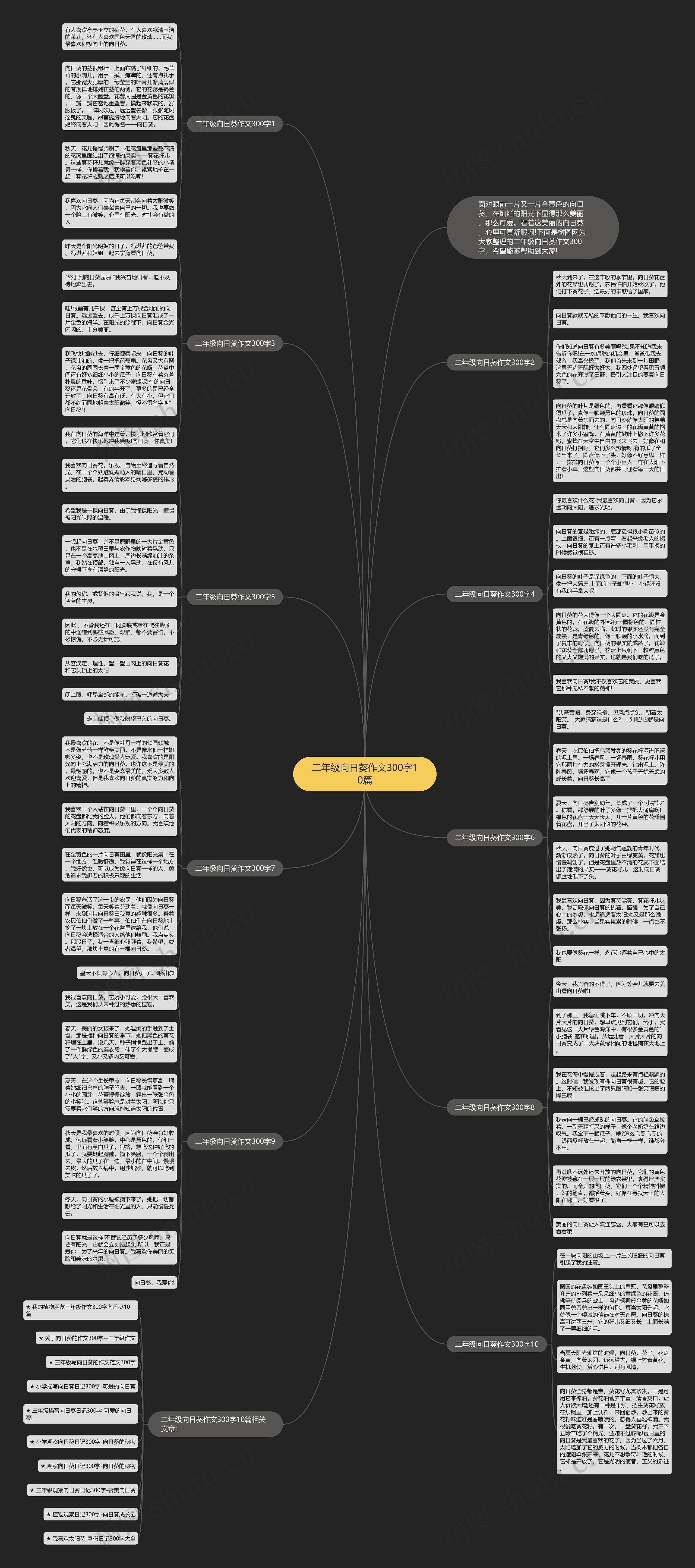 二年级向日葵作文300字10篇思维导图