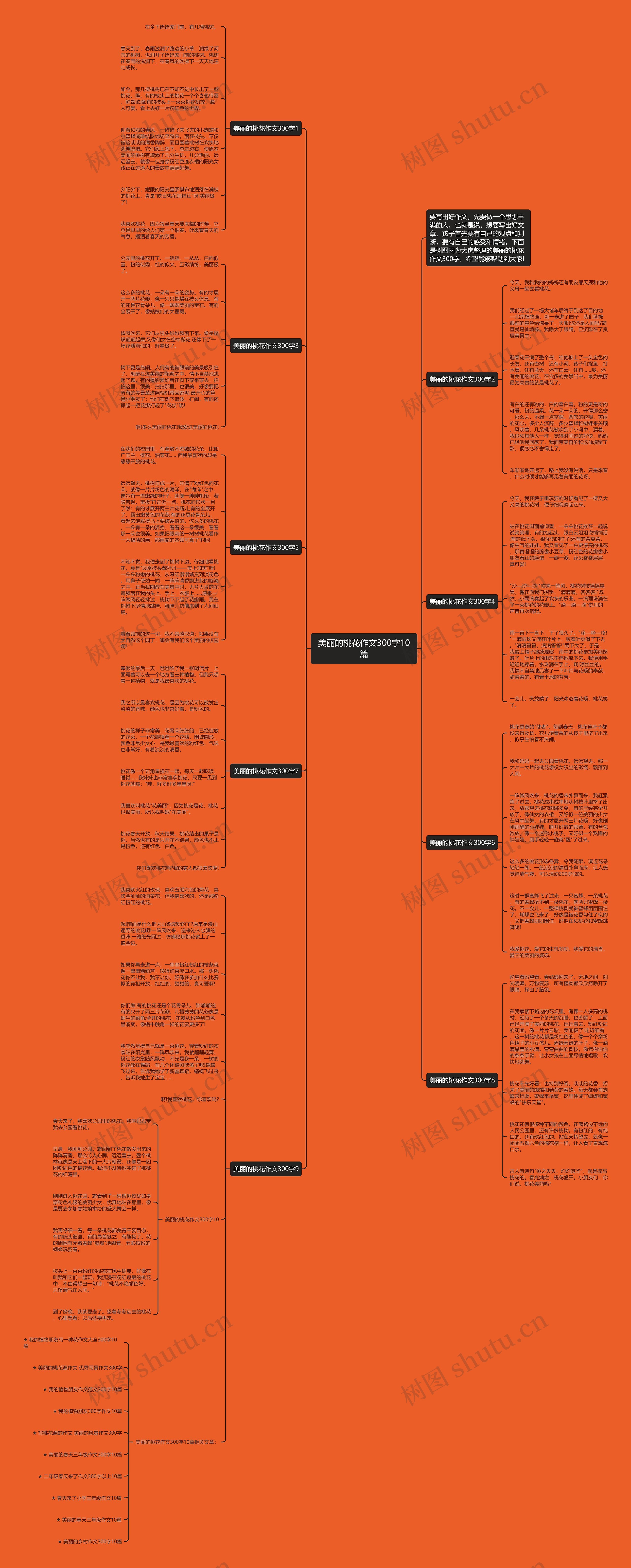 美丽的桃花作文300字10篇思维导图
