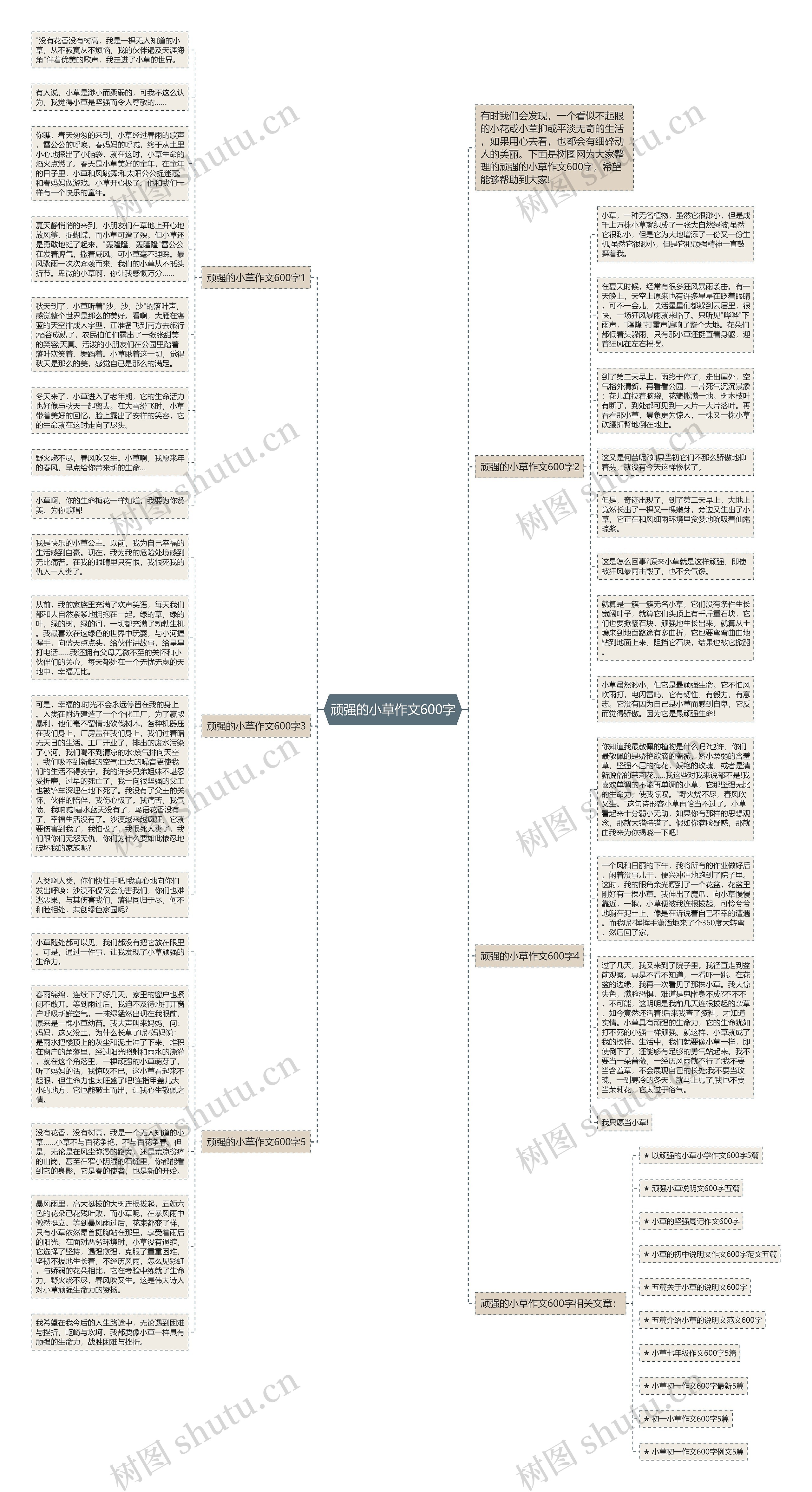 顽强的小草作文600字思维导图