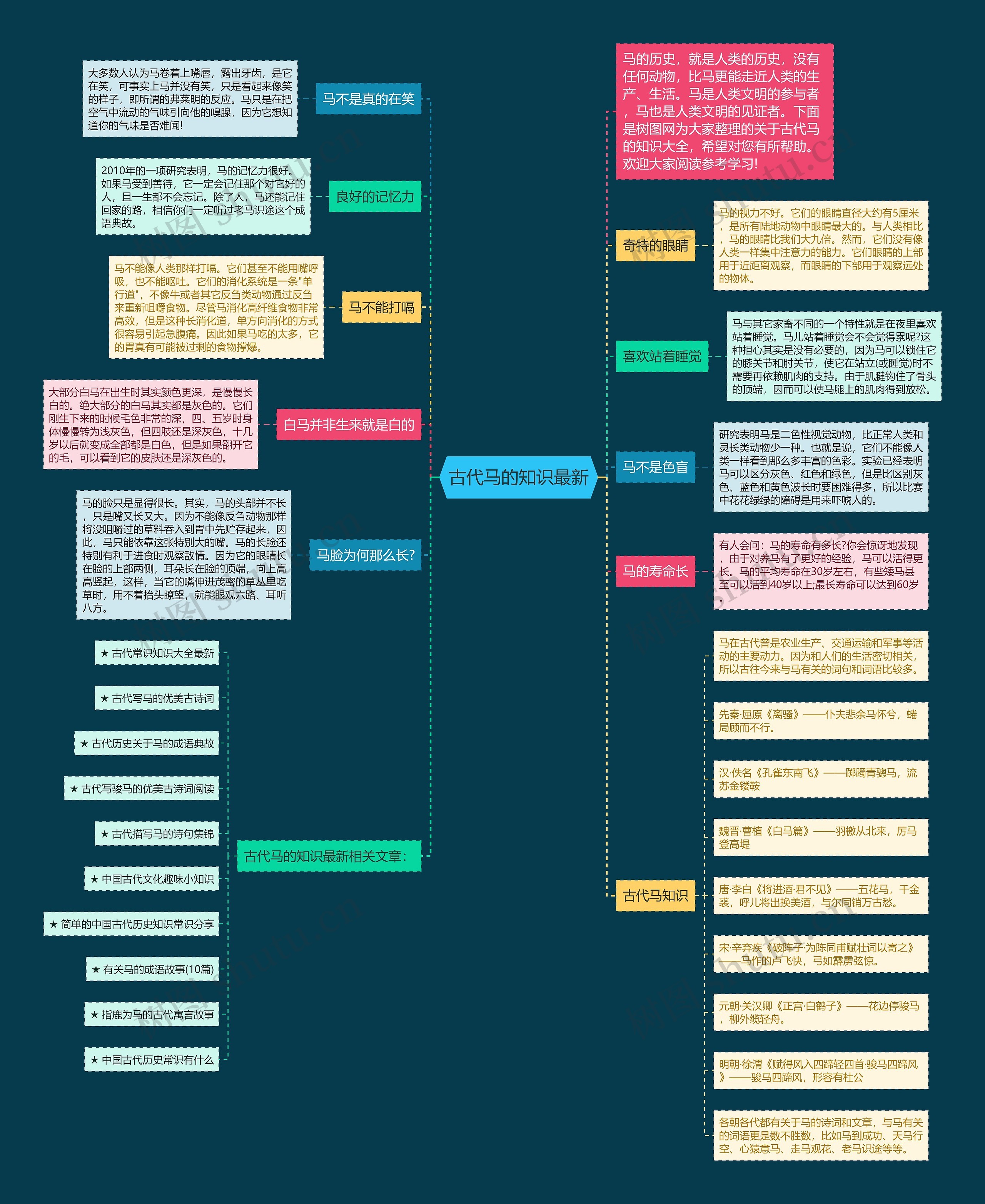 古代马的知识最新思维导图