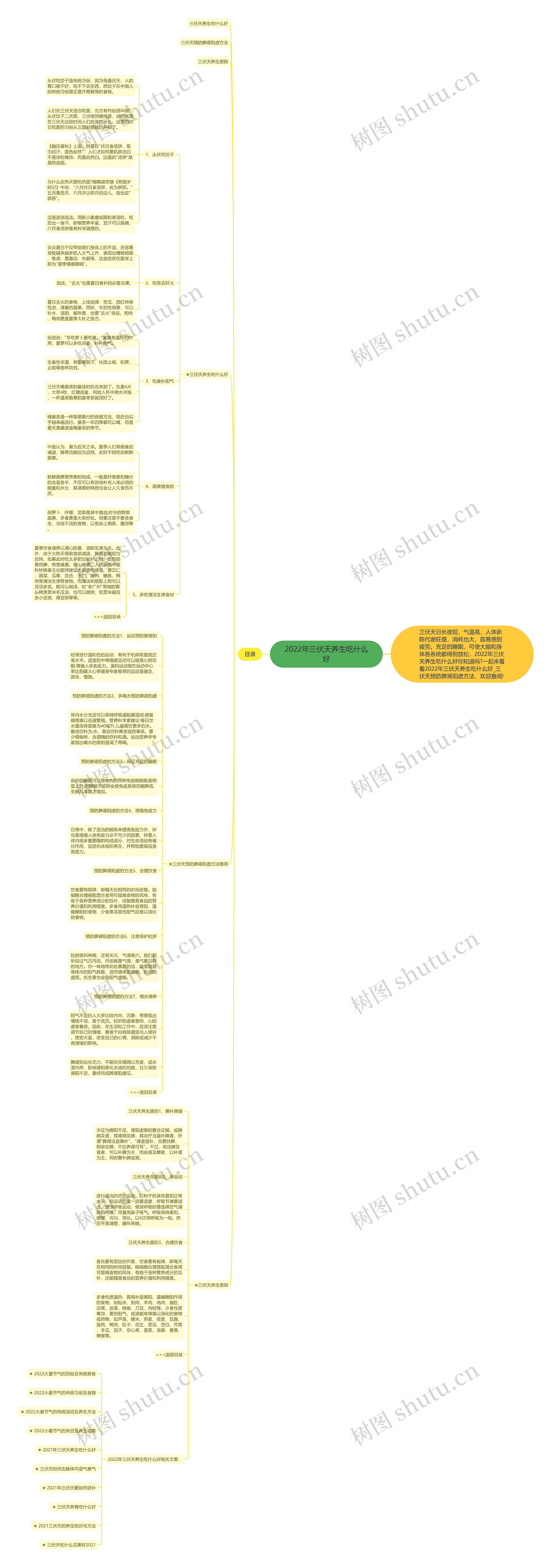 2022年三伏天养生吃什么好思维导图