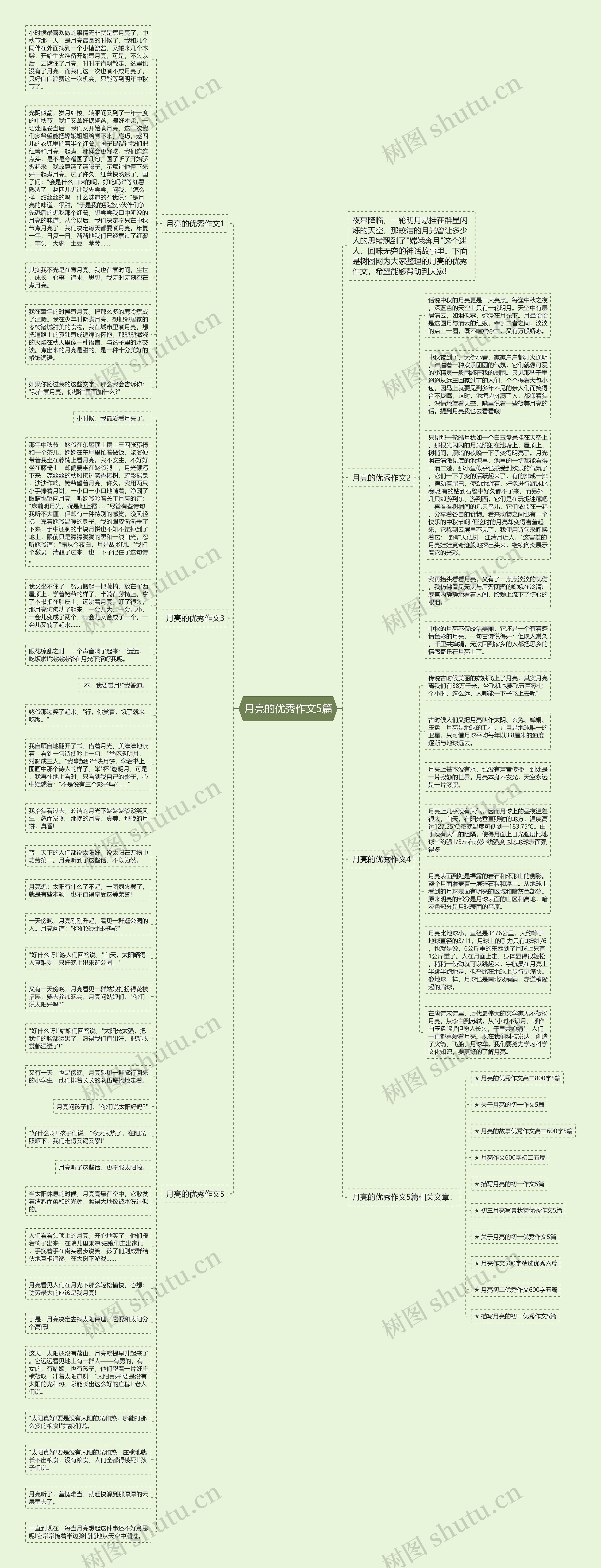 月亮的优秀作文5篇思维导图