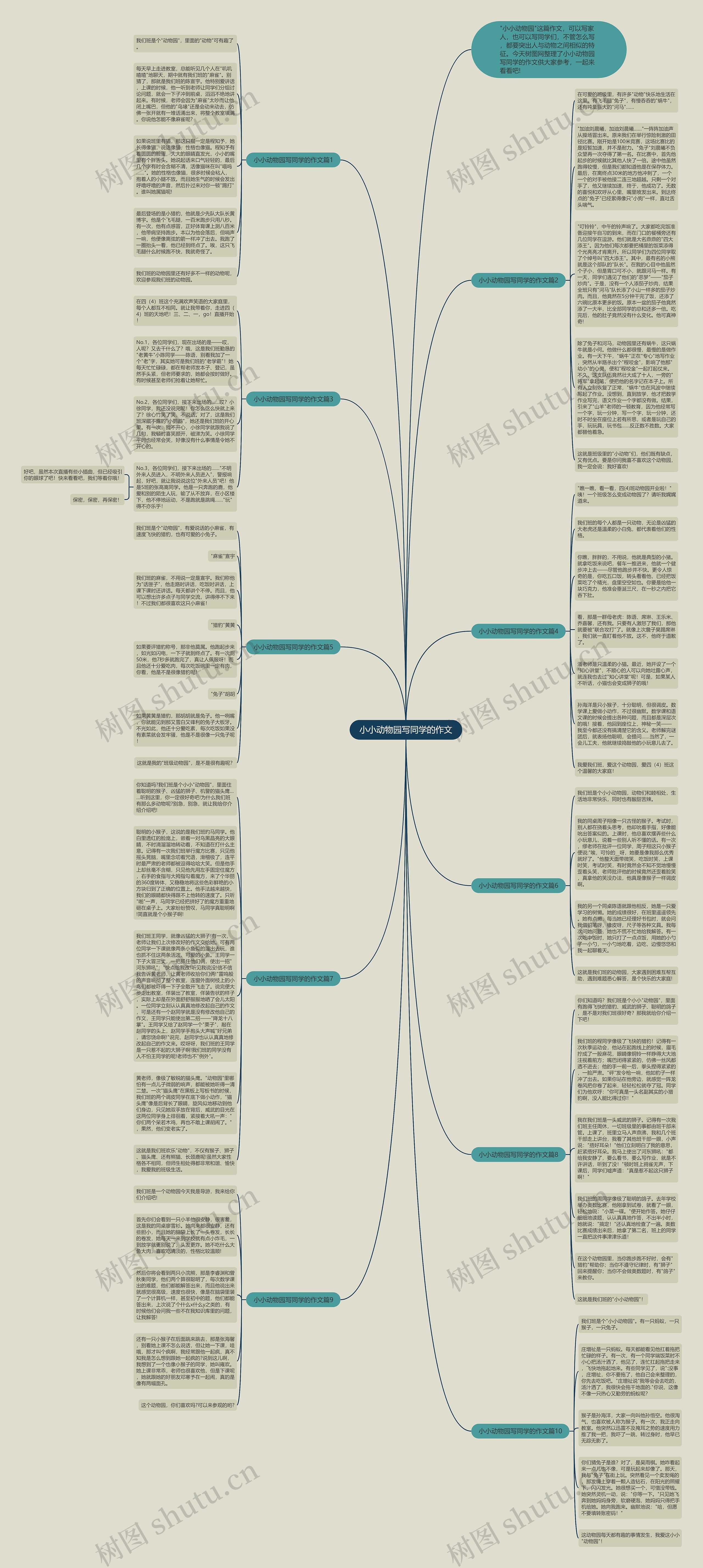 小小动物园写同学的作文思维导图