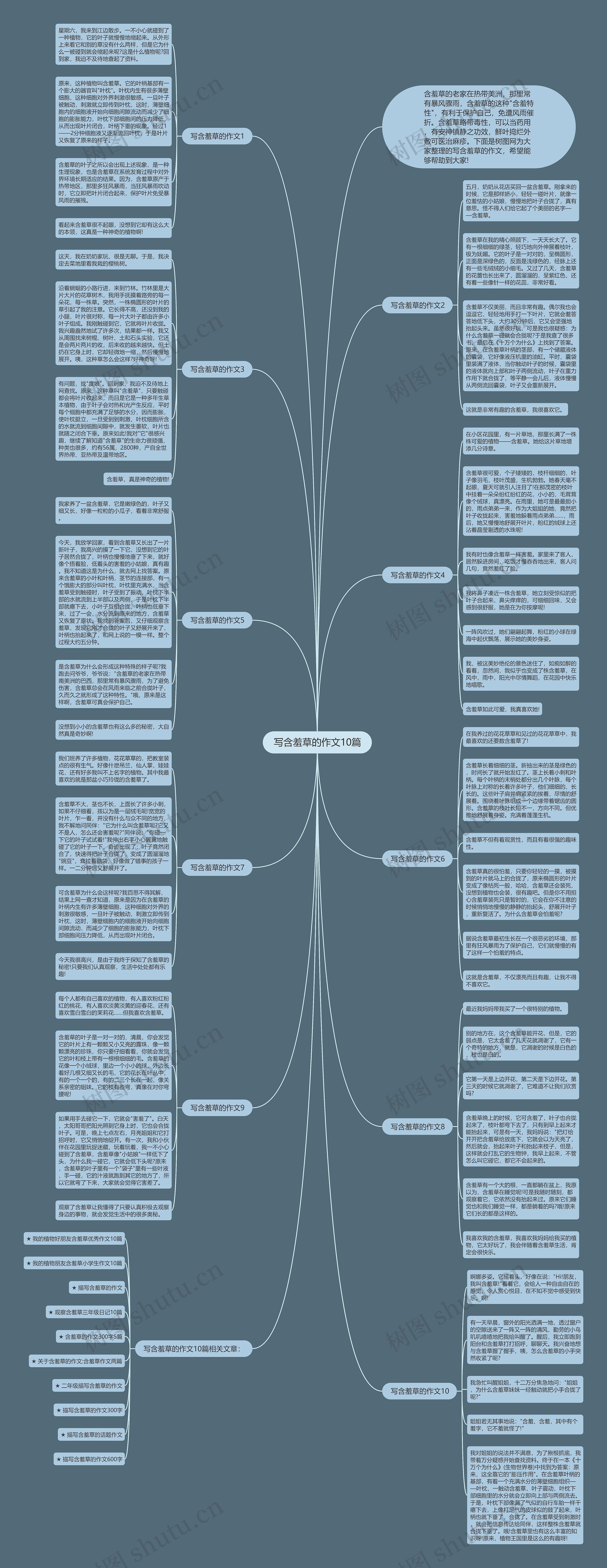 写含羞草的作文10篇思维导图