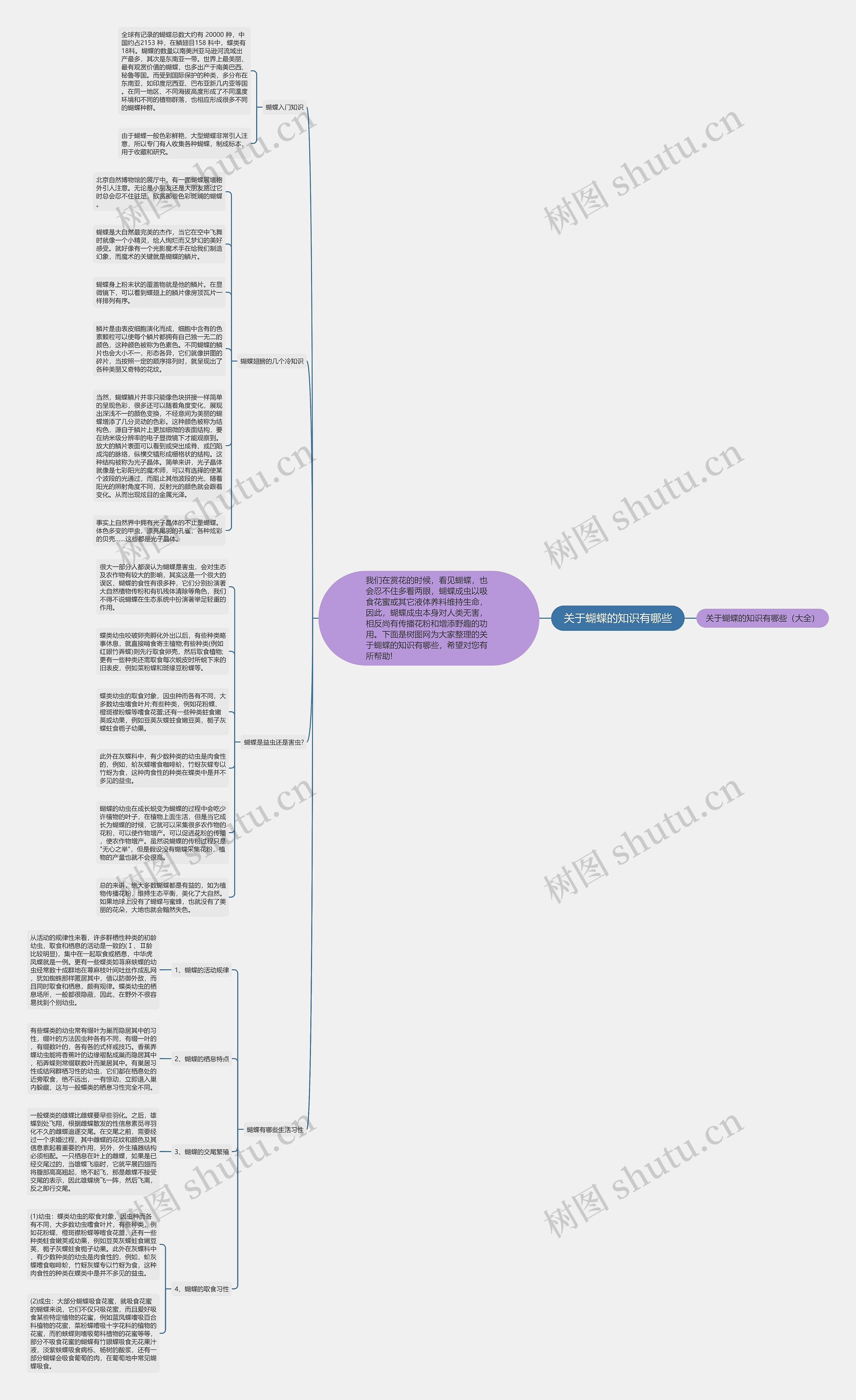 关于蝴蝶的知识有哪些思维导图