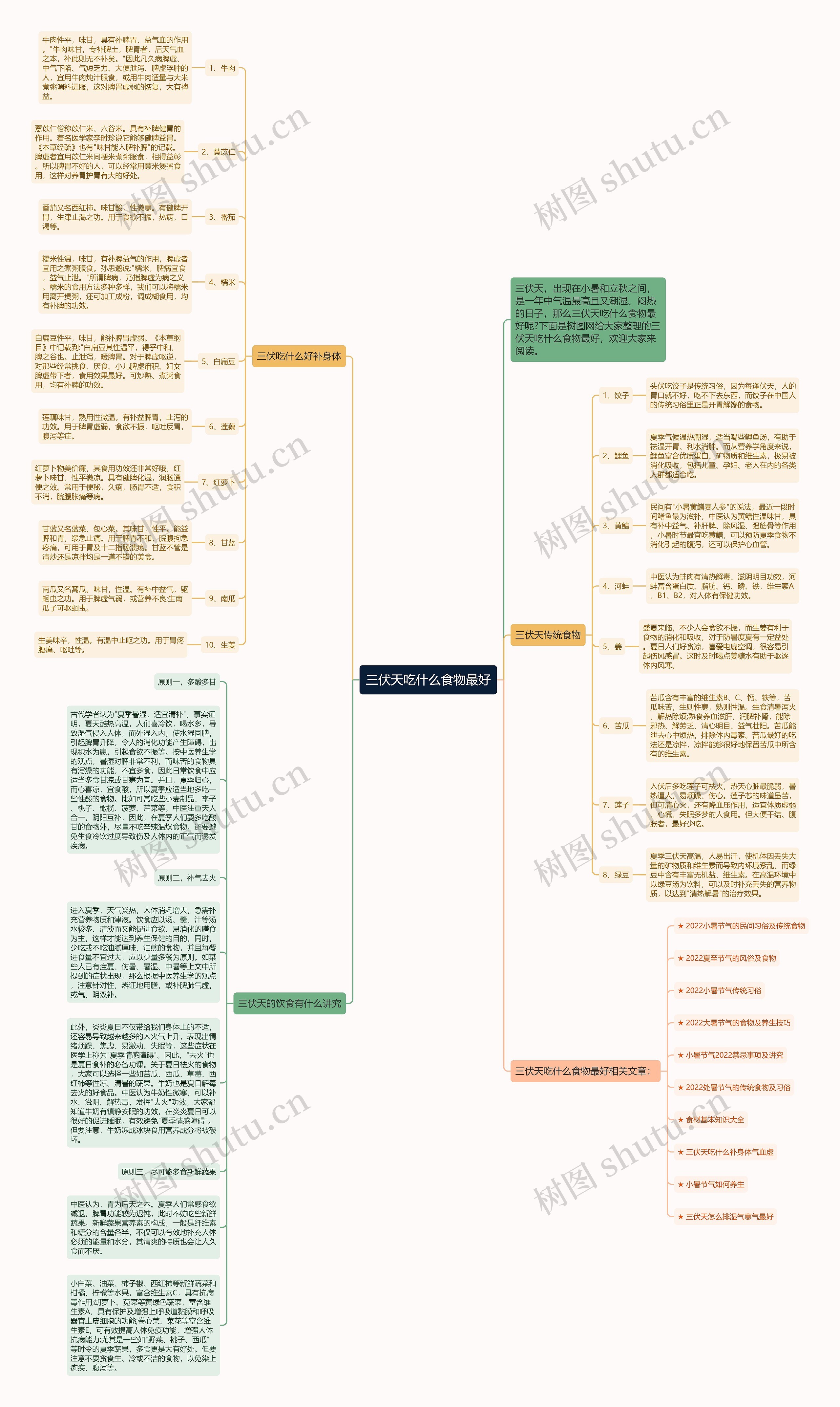 三伏天吃什么食物最好思维导图