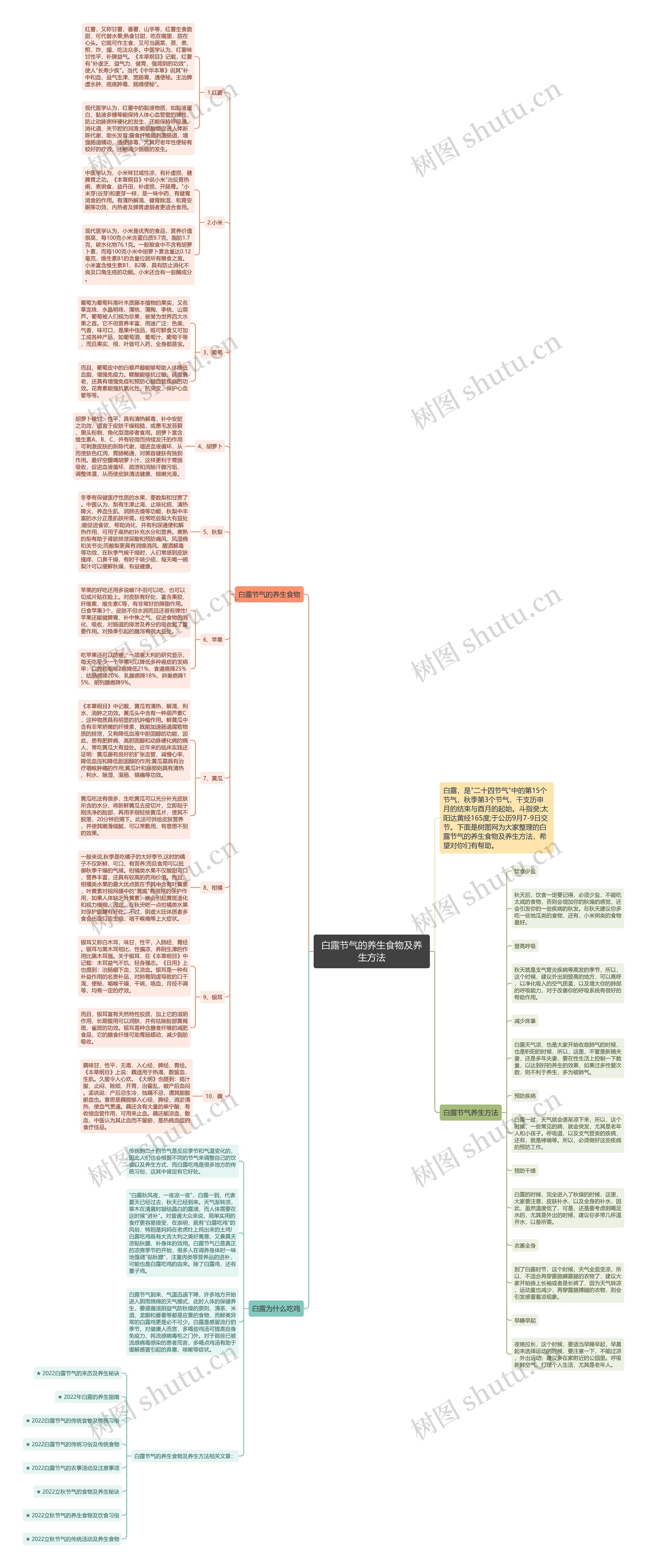 白露节气的养生食物及养生方法思维导图
