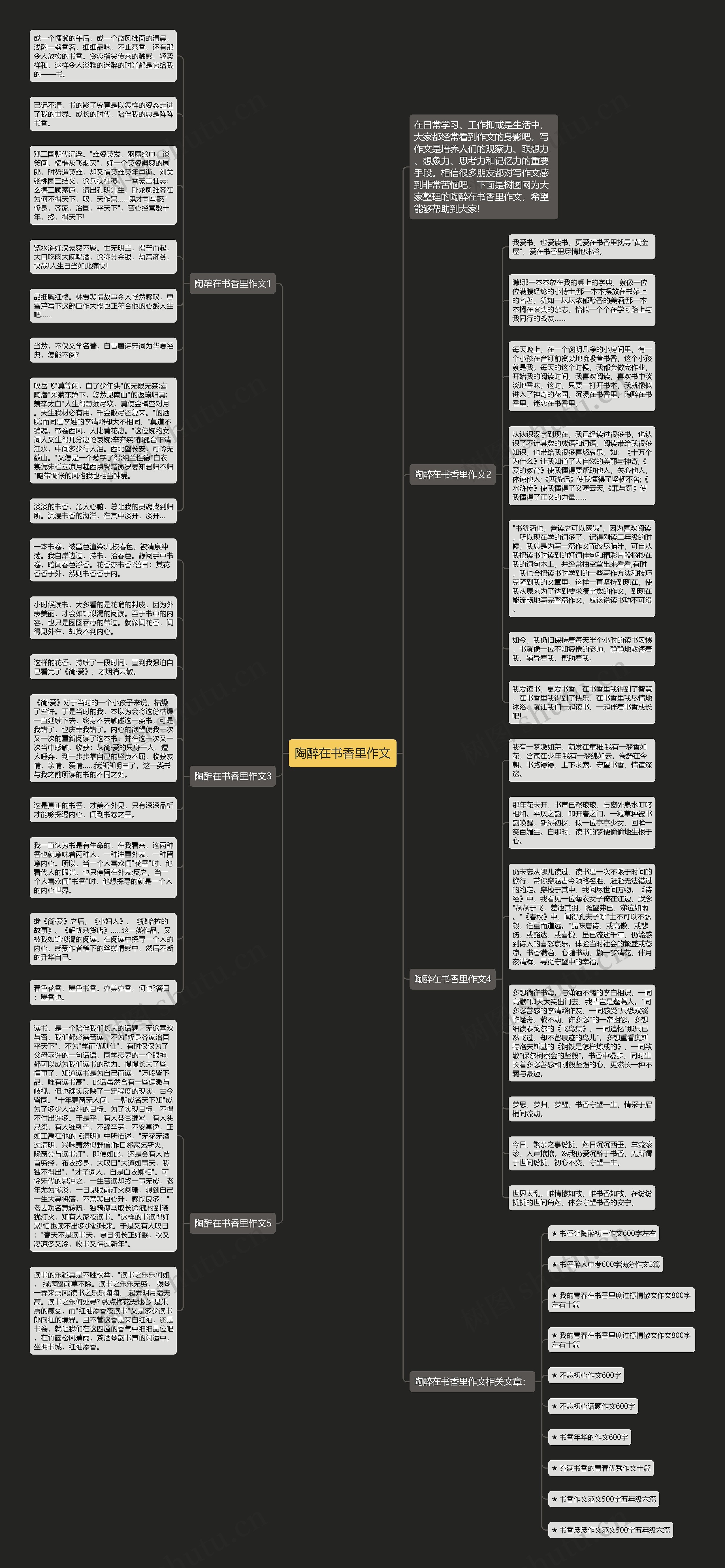 陶醉在书香里作文思维导图