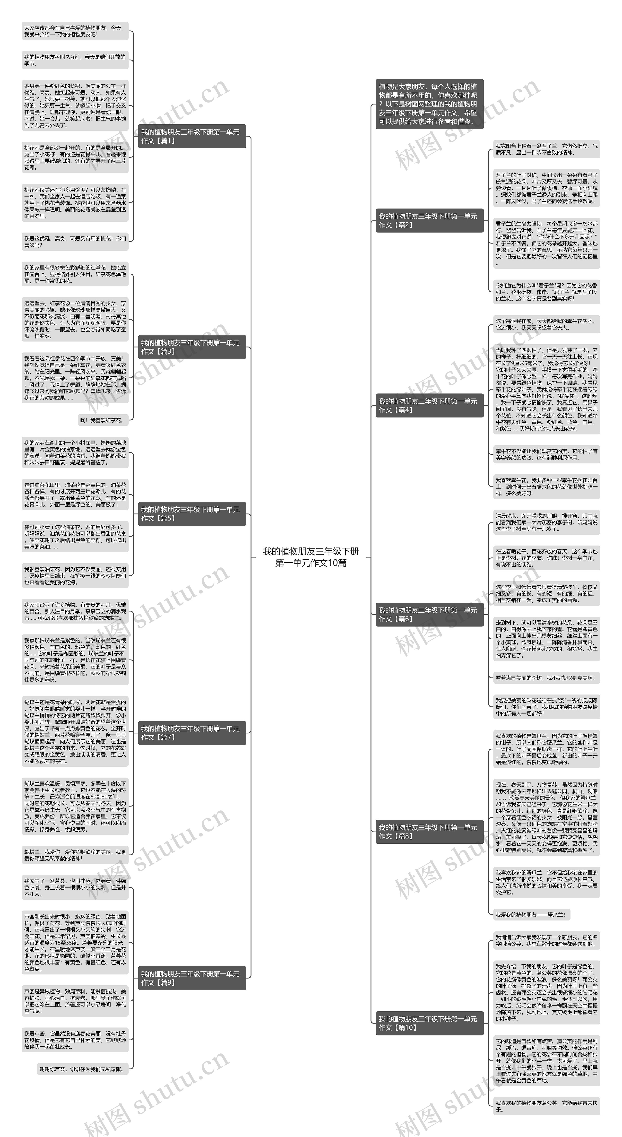 我的植物朋友三年级下册第一单元作文10篇思维导图