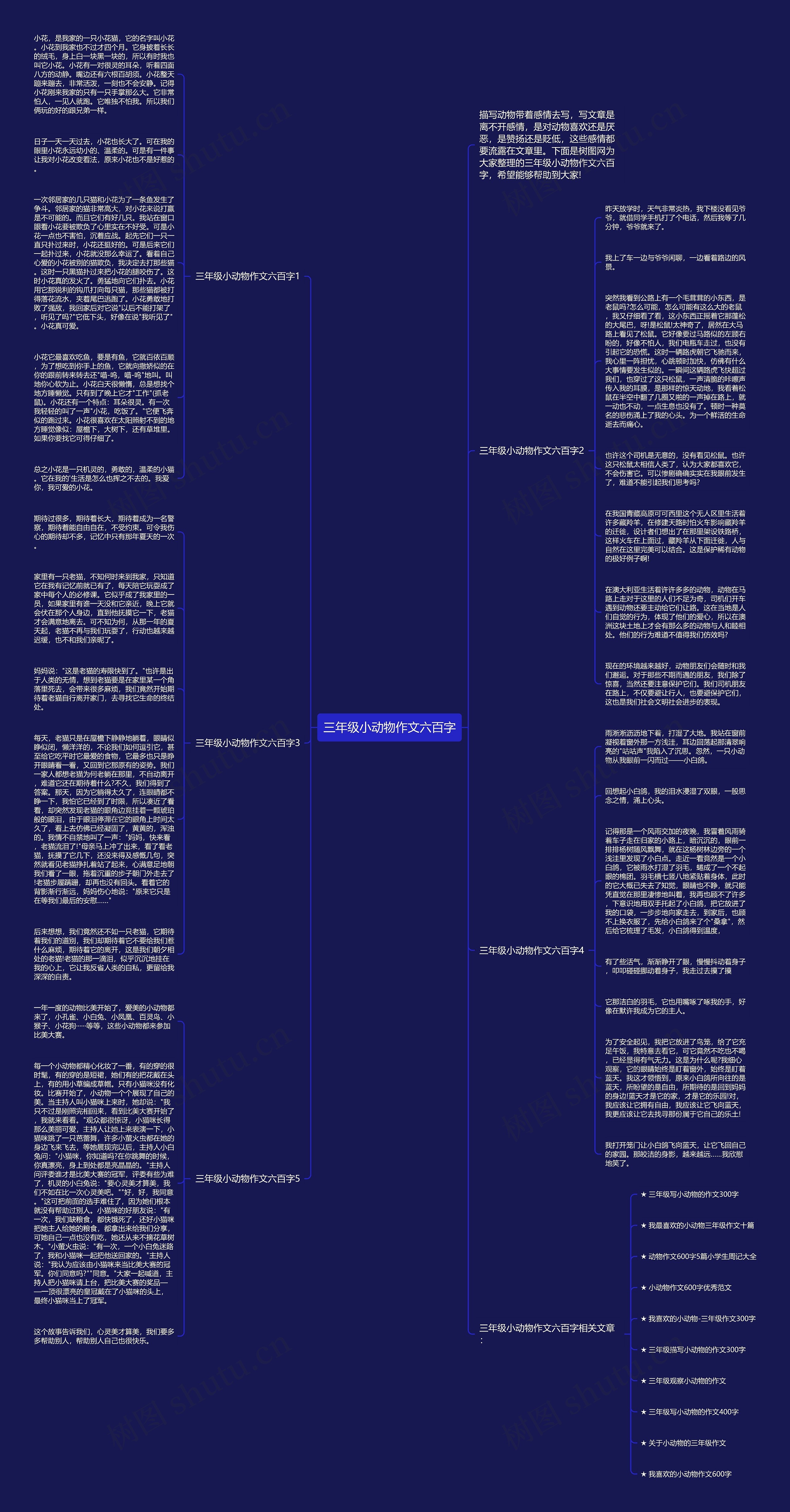 三年级小动物作文六百字思维导图