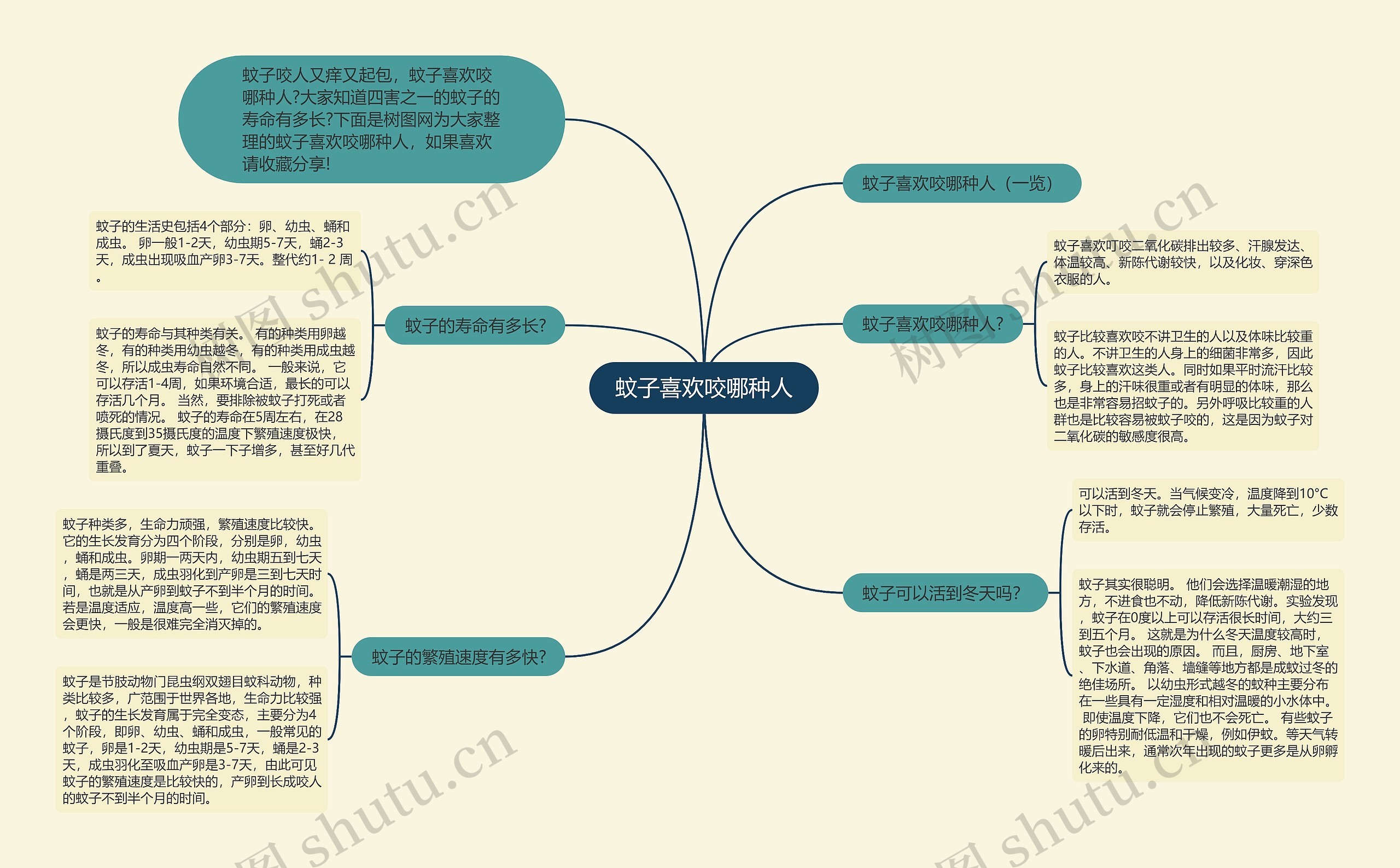 蚊子喜欢咬哪种人思维导图