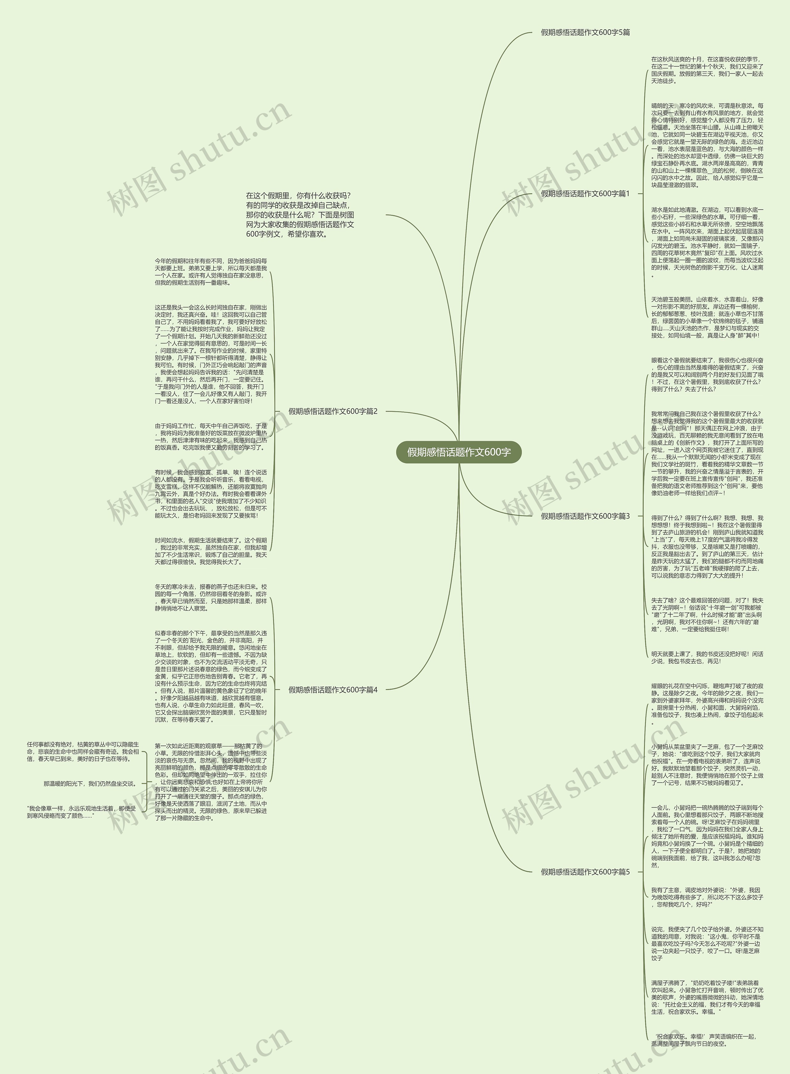 假期感悟话题作文600字思维导图