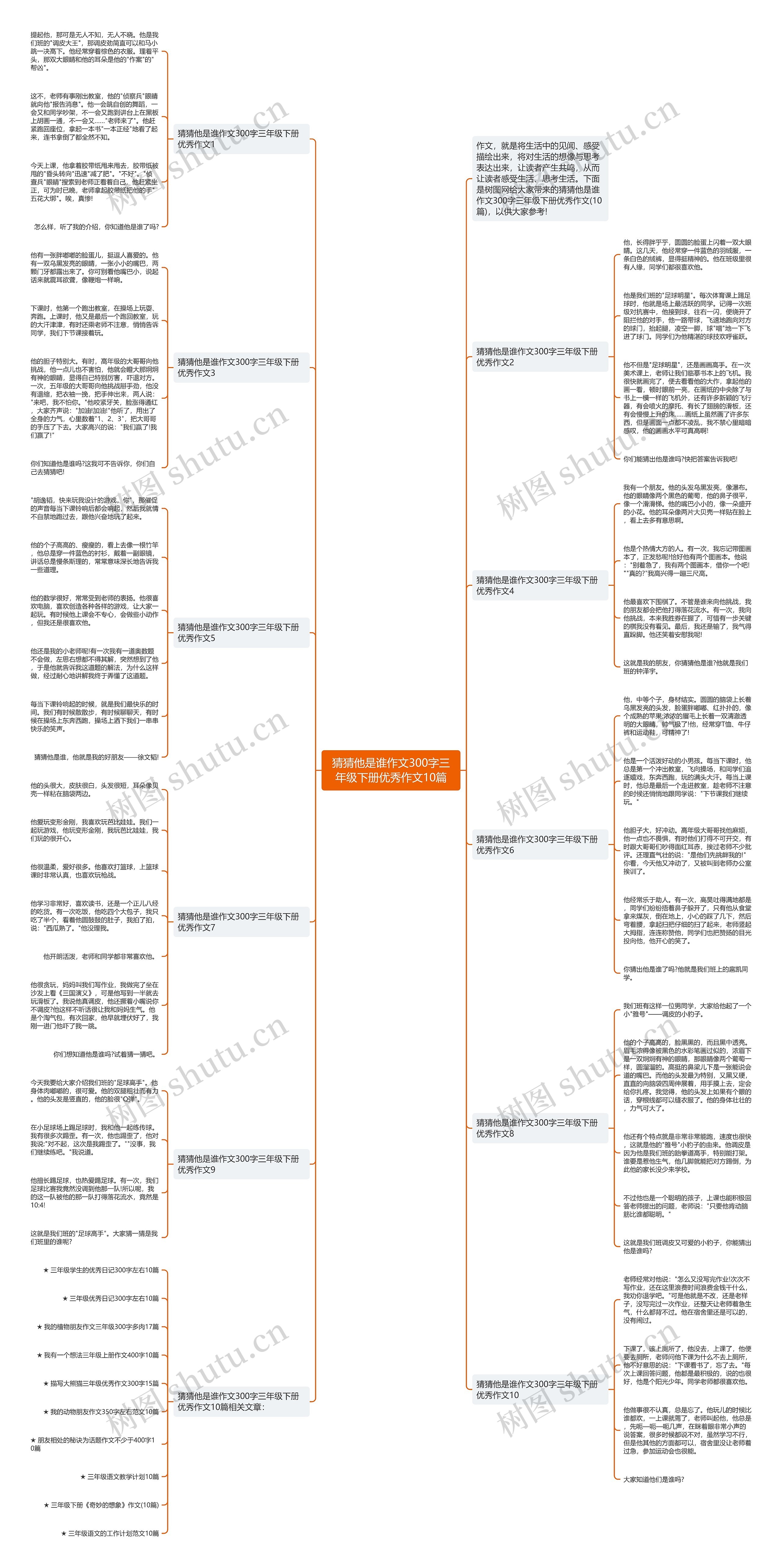 猜猜他是谁作文300字三年级下册优秀作文10篇思维导图