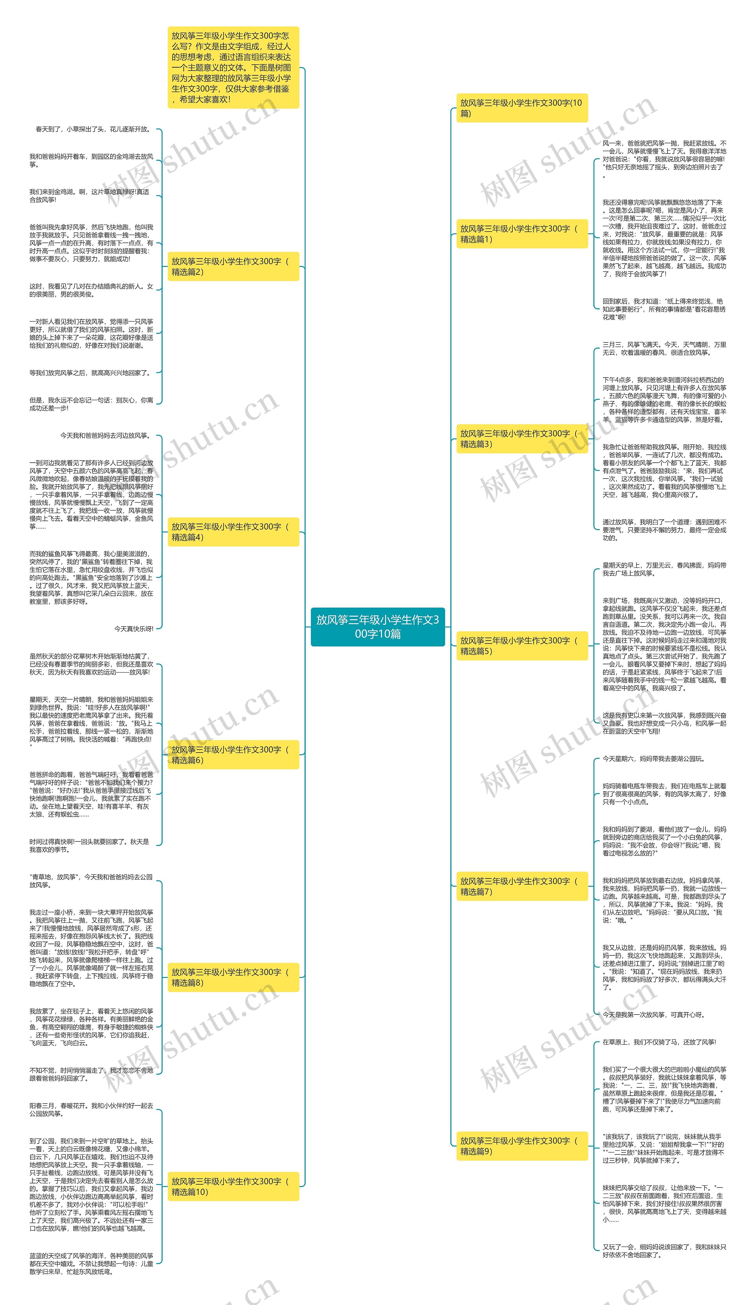 放风筝三年级小学生作文300字10篇思维导图