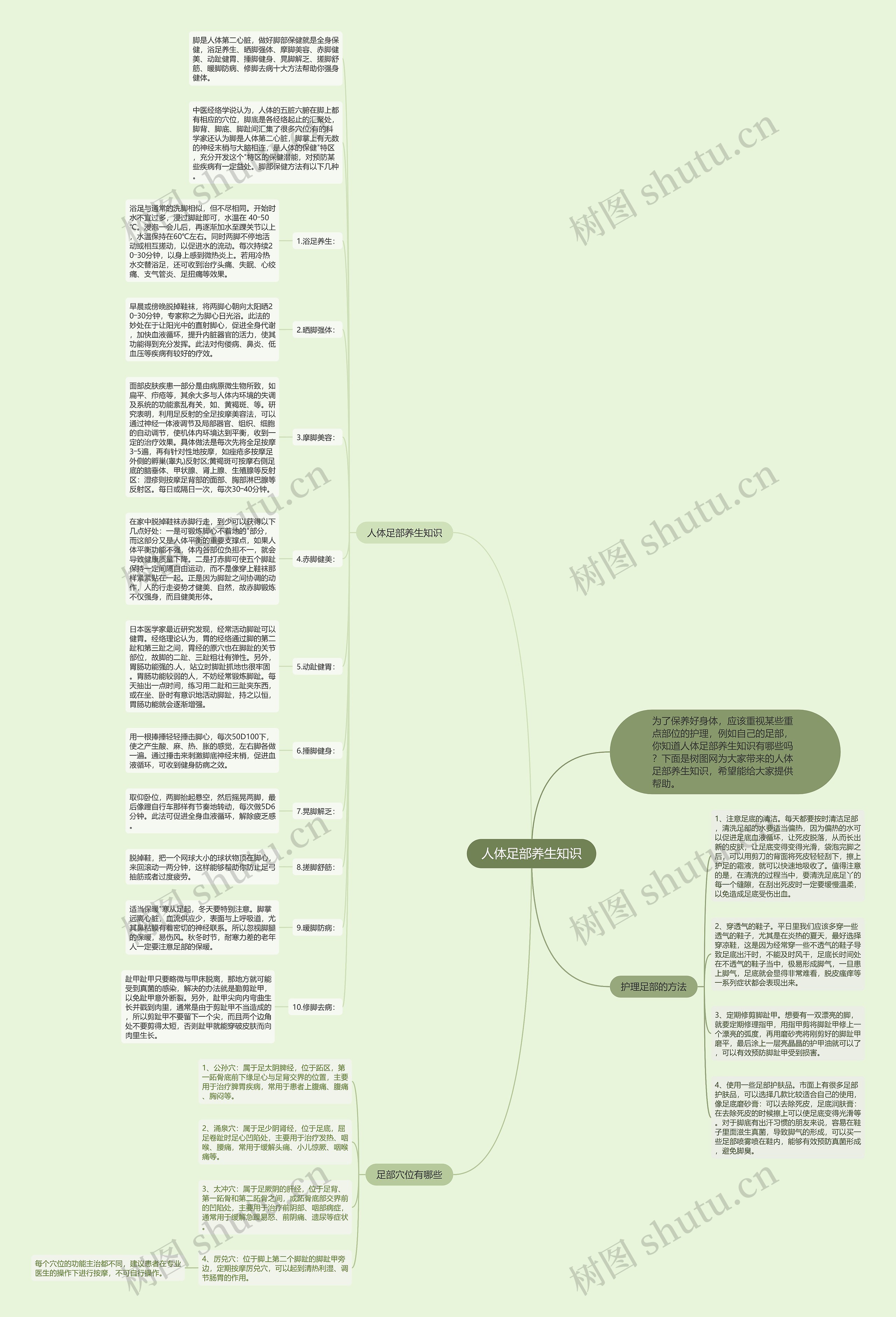 人体足部养生知识思维导图