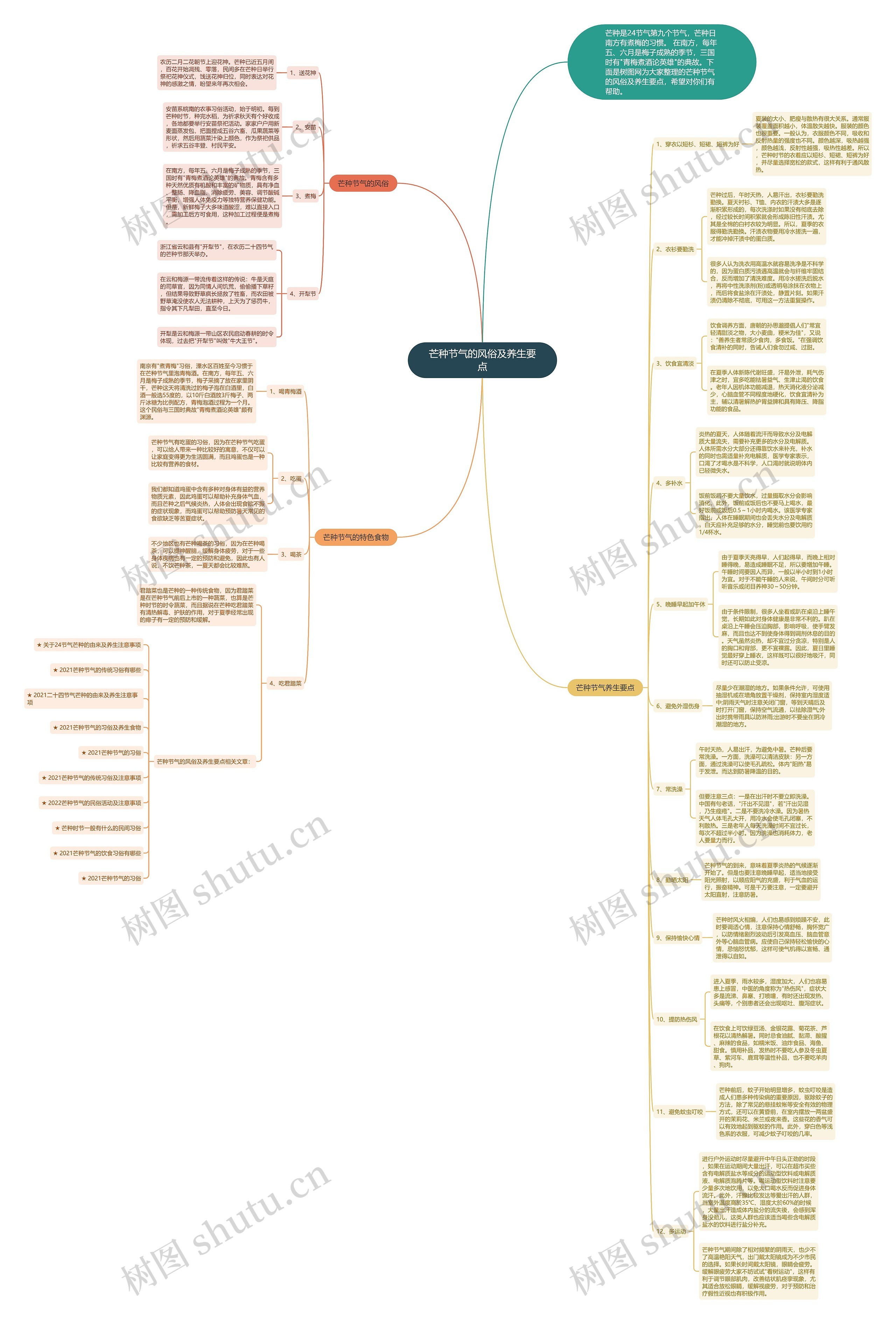 芒种节气的风俗及养生要点思维导图