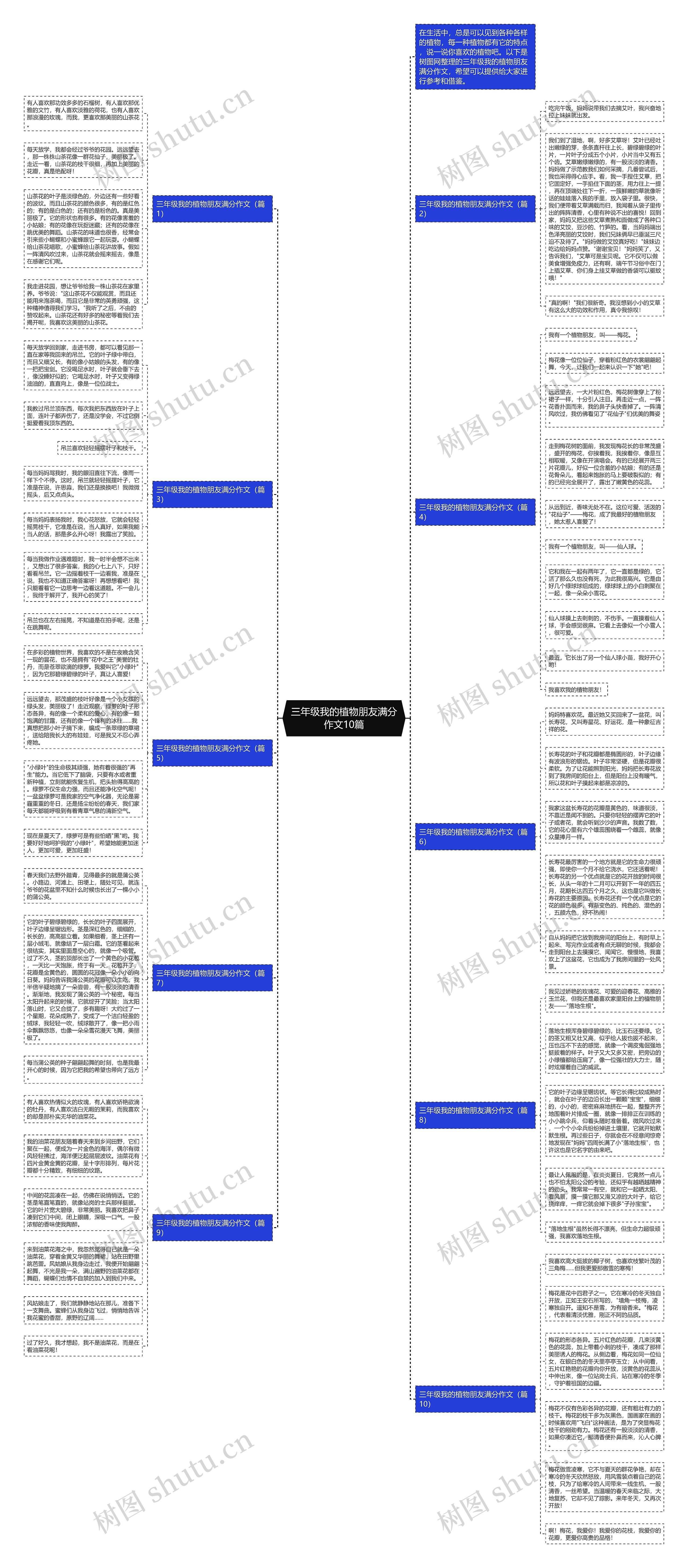 三年级我的植物朋友满分作文10篇思维导图