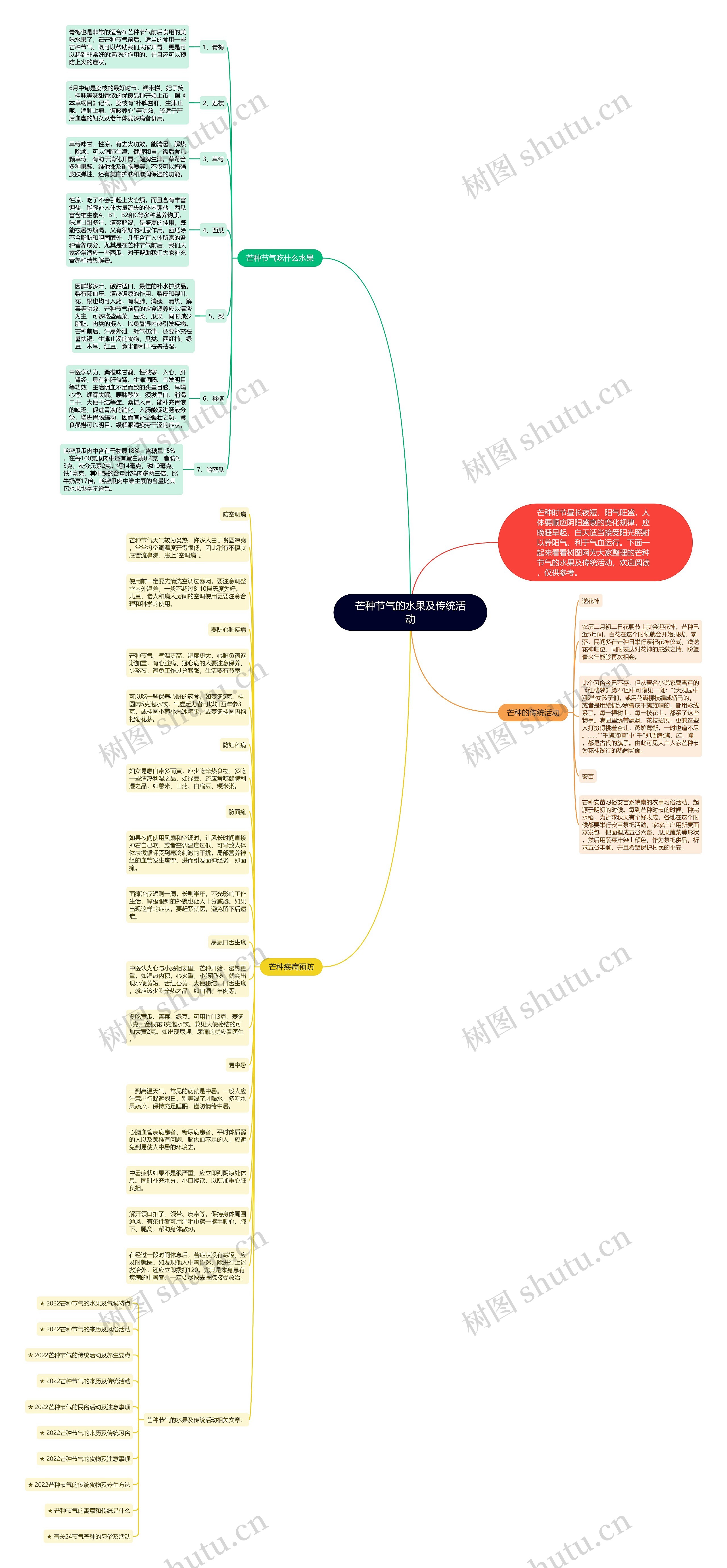 芒种节气的水果及传统活动思维导图