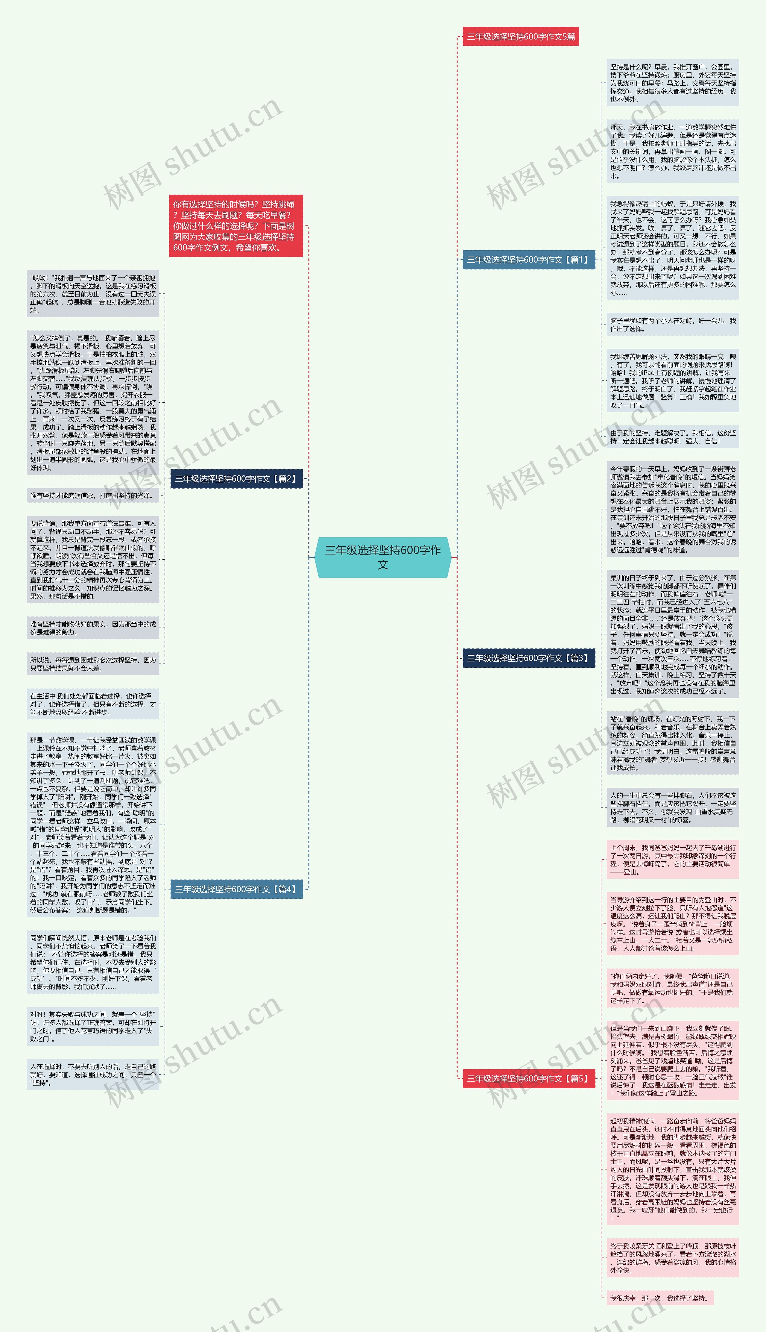 三年级选择坚持600字作文思维导图